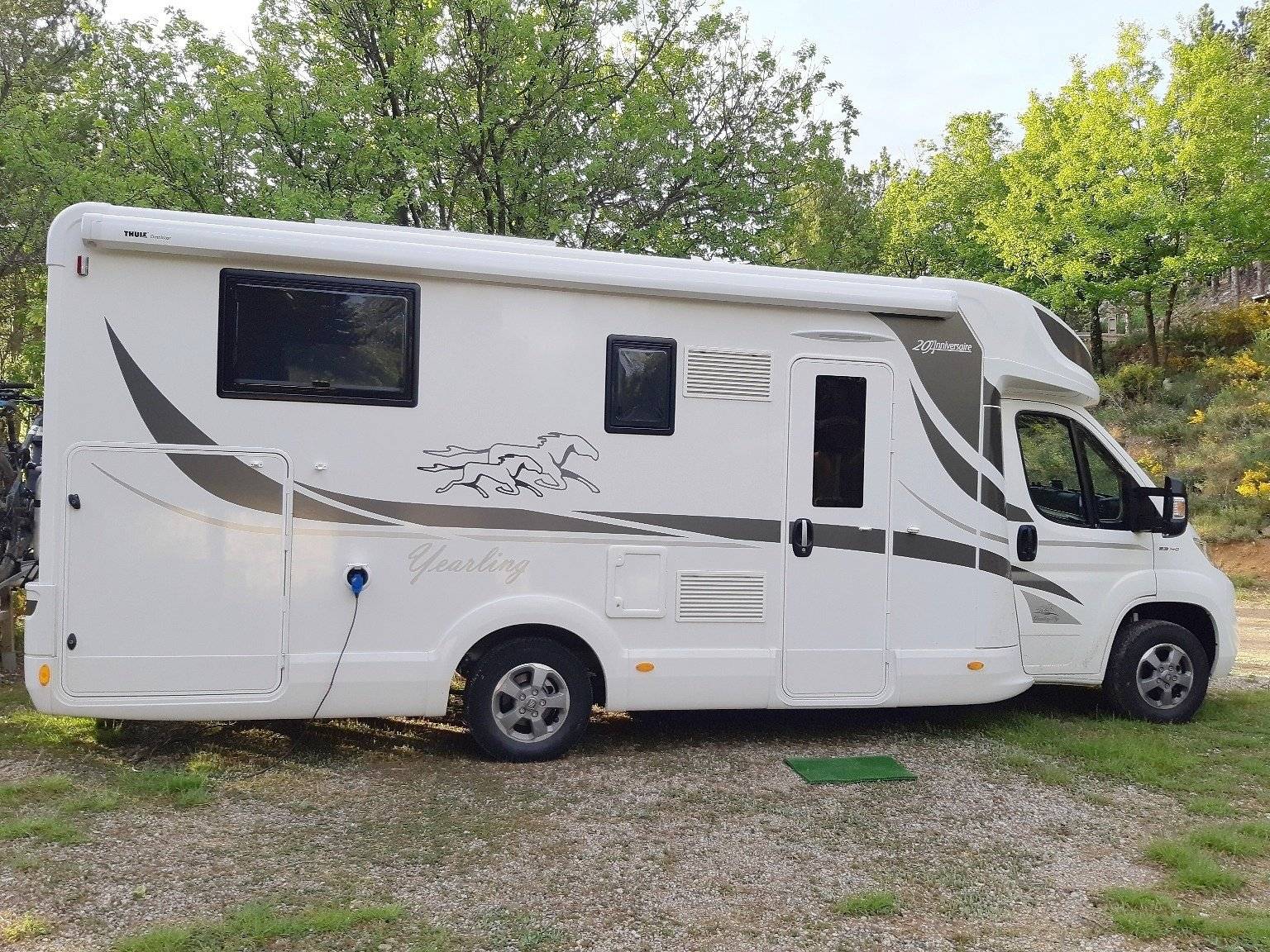 Mclouis Yearling 89G