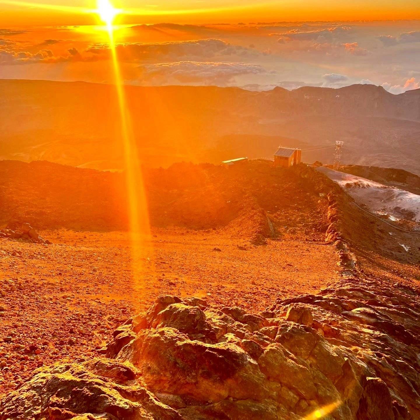 Volkswagen Volkswagen T6