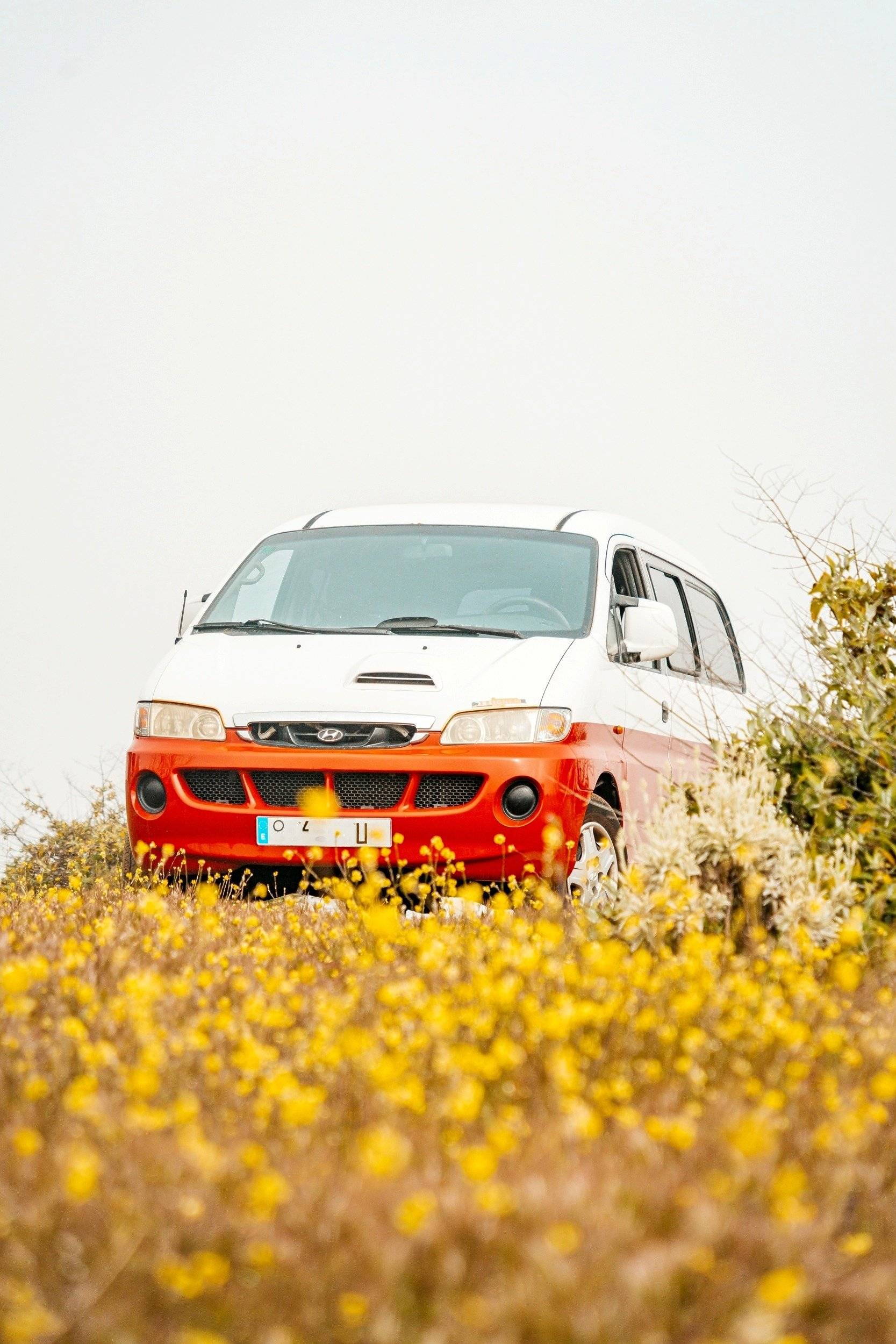 Hyundai h1