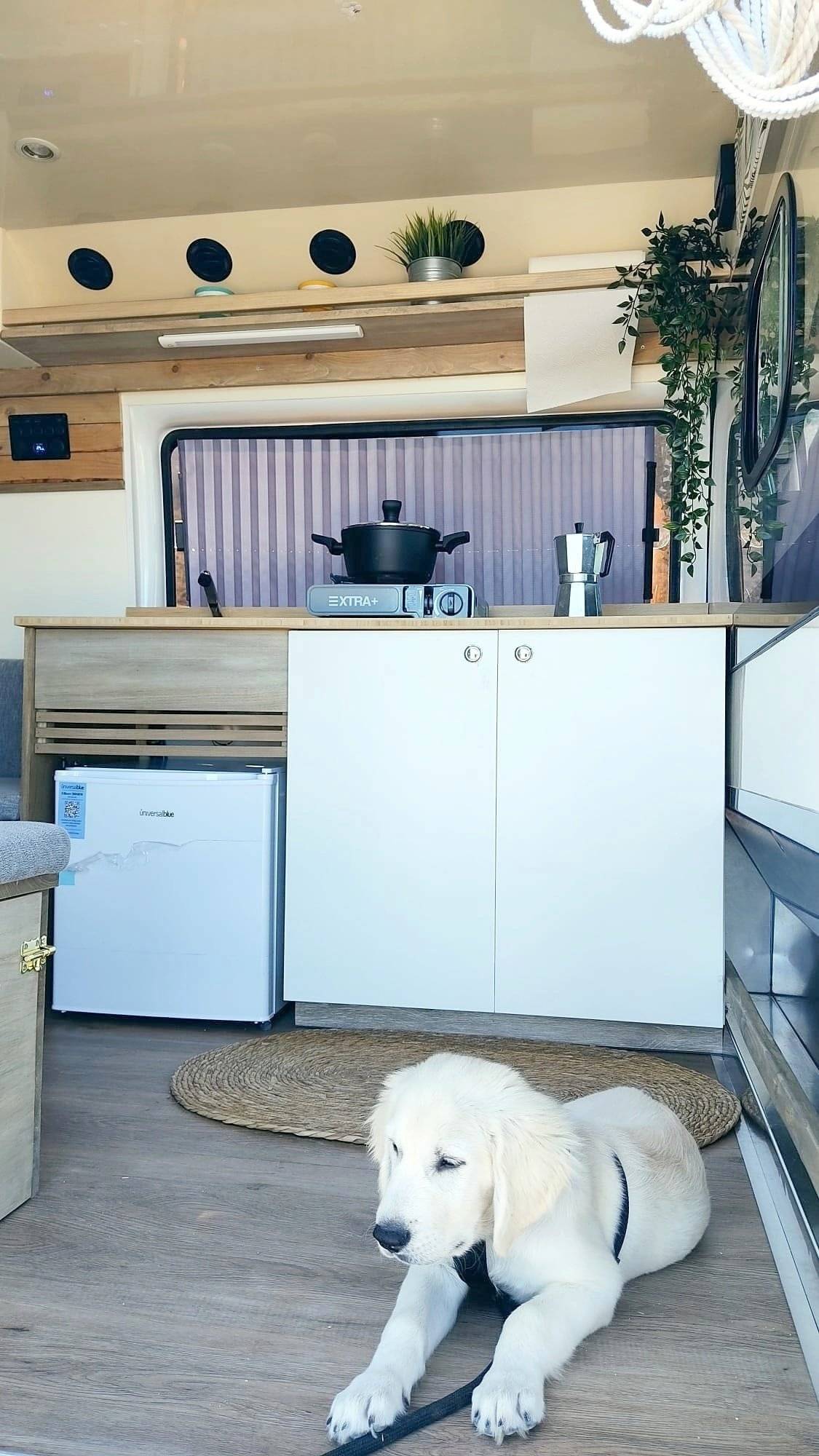 Ford Transit 2,2l TDCi 115 ch.