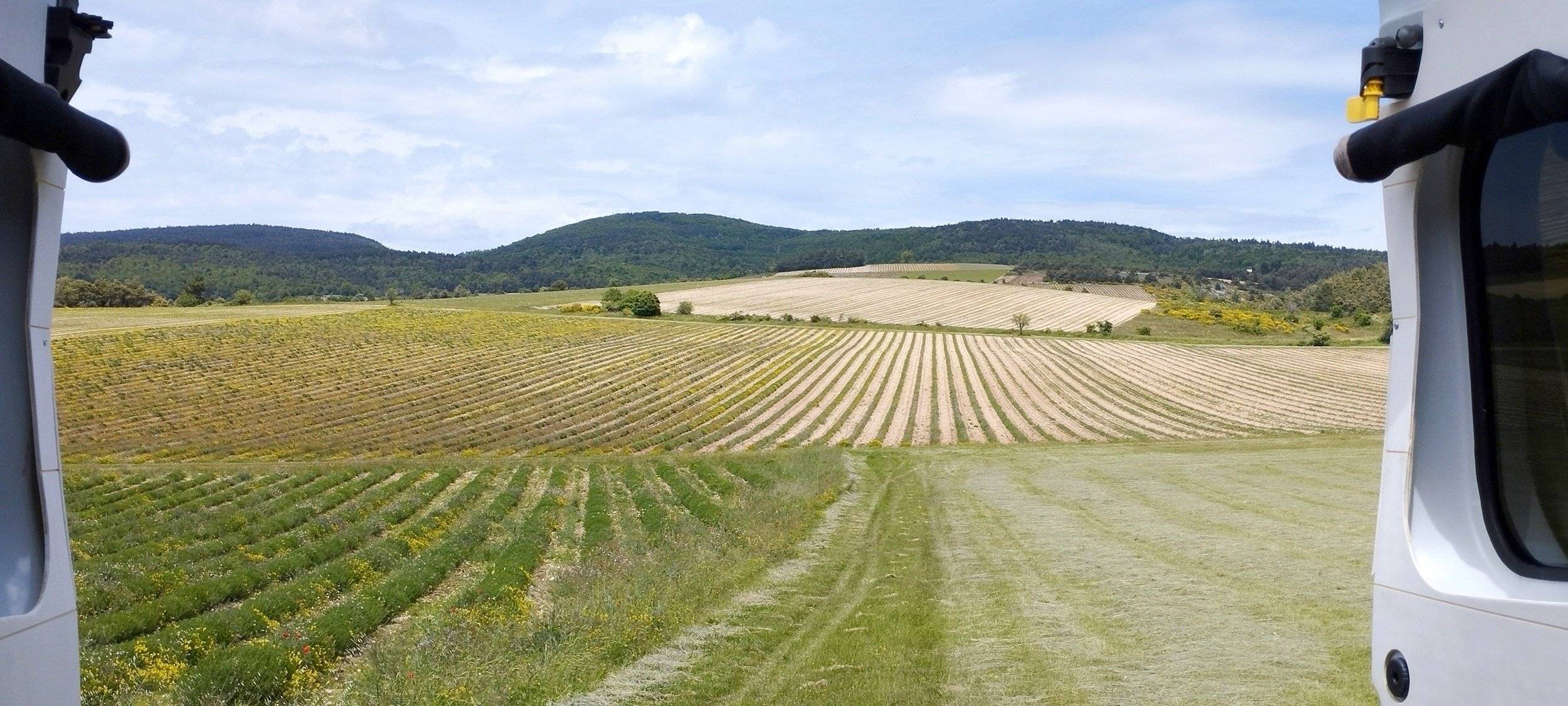 . TRAFIC III L1H1 ("Grand confort")