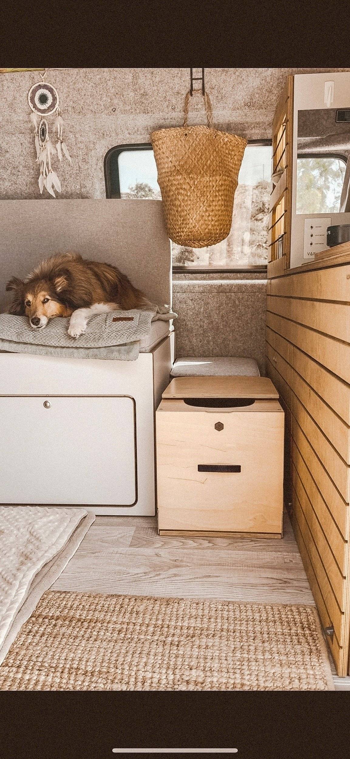 Volkswagen Volkswagen T6