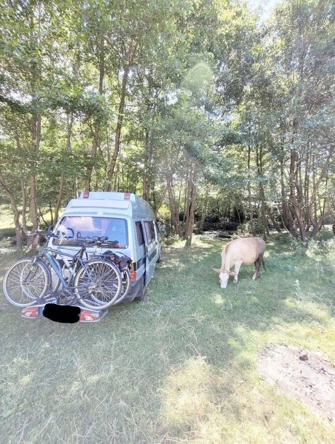 Volkswagen Volkswagen T4