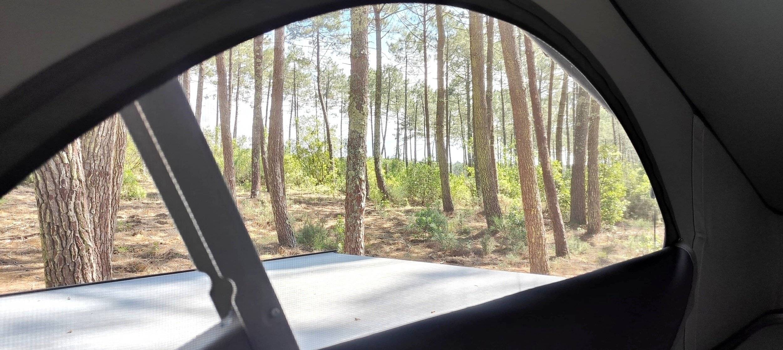 Volkswagen California ocean