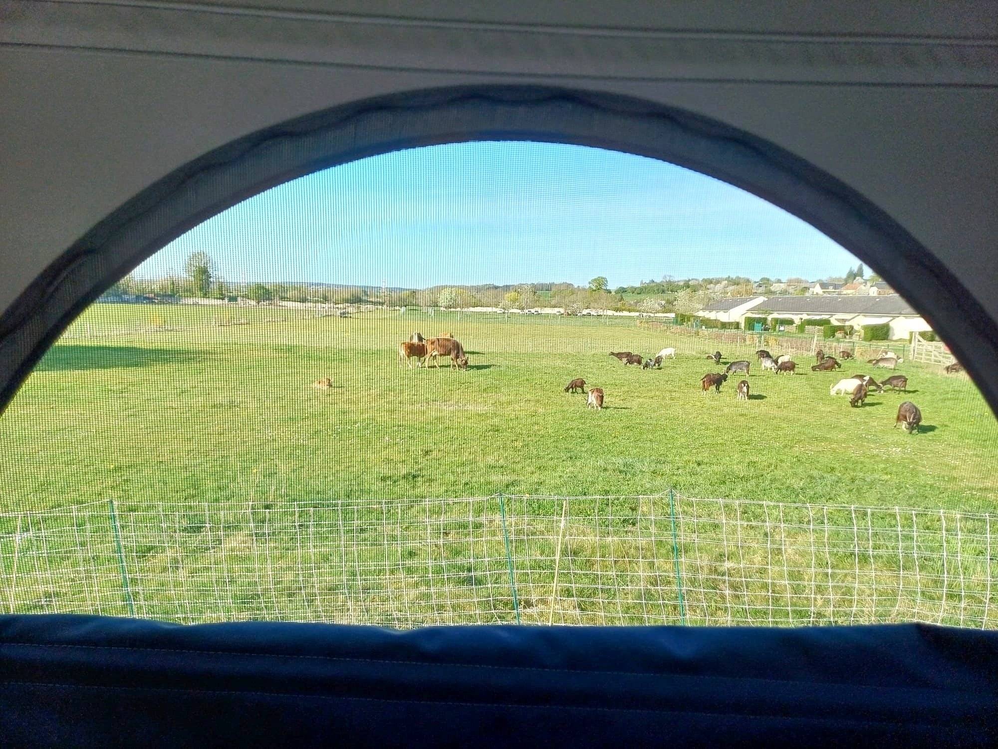 Volkswagen T6 2 l 150 ch