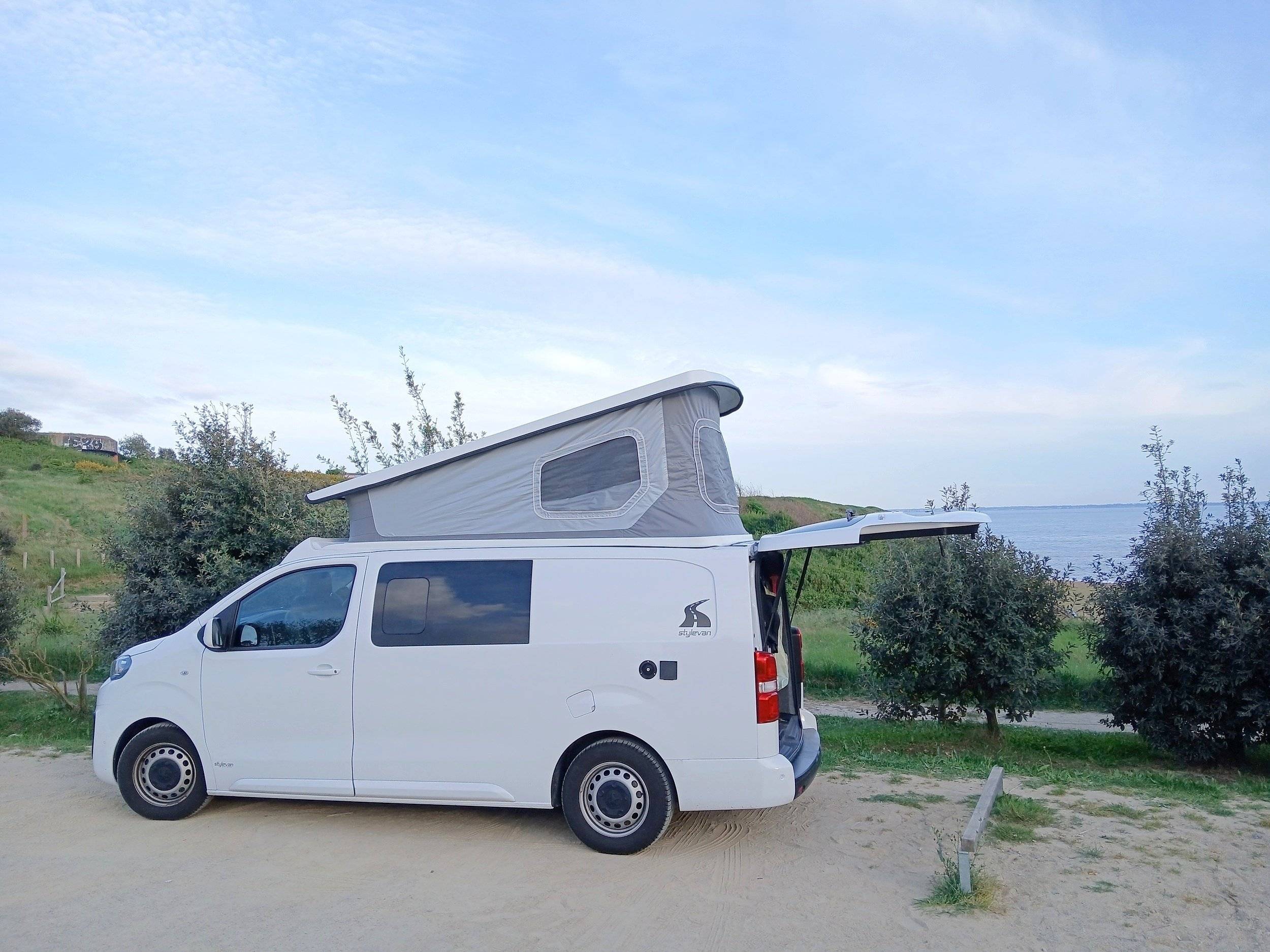 Stylevan austral