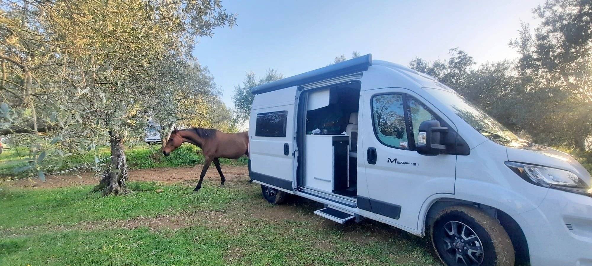 Mclouis Mclouis MENFYS 1