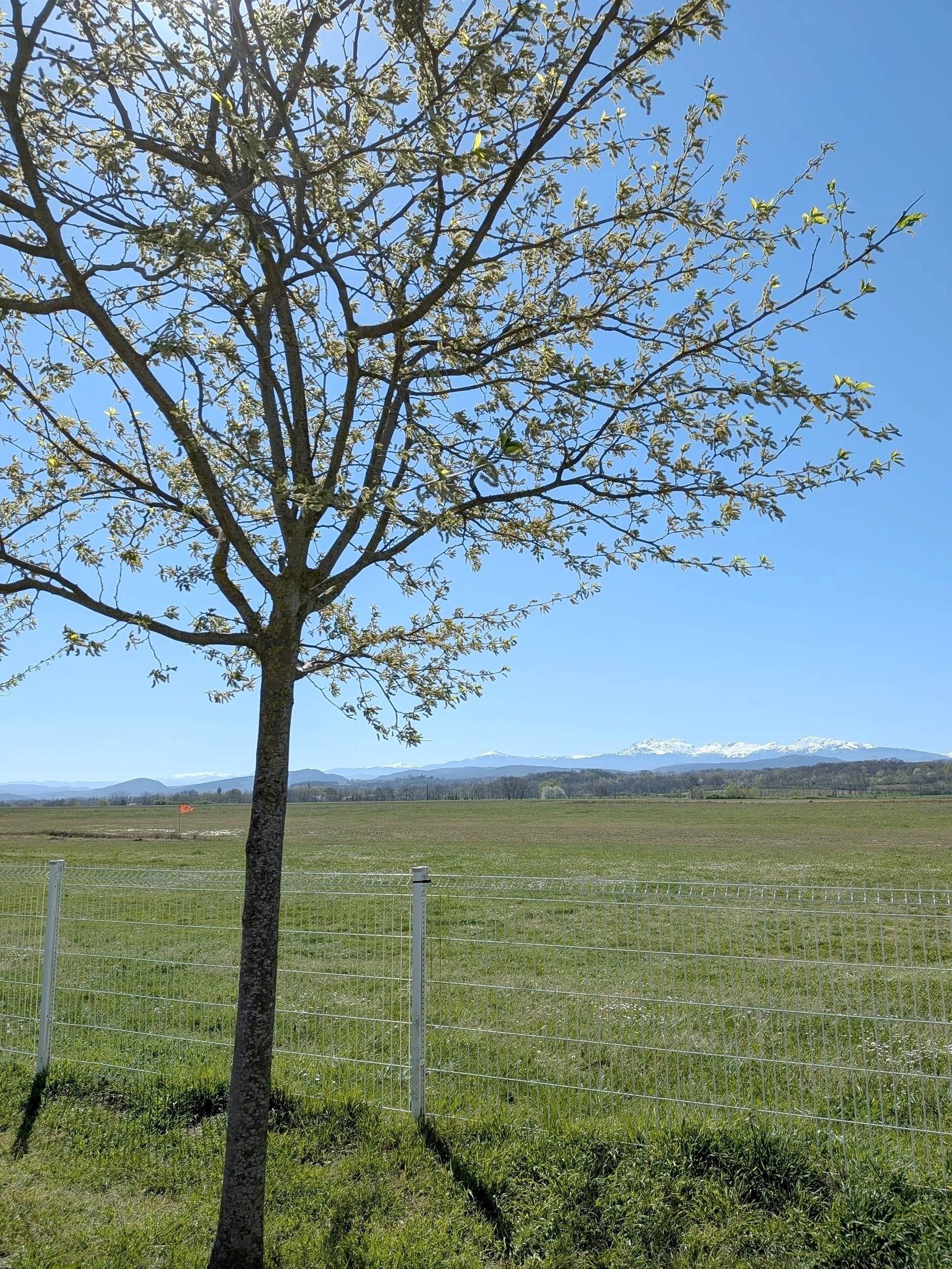 Custo Van Transporter