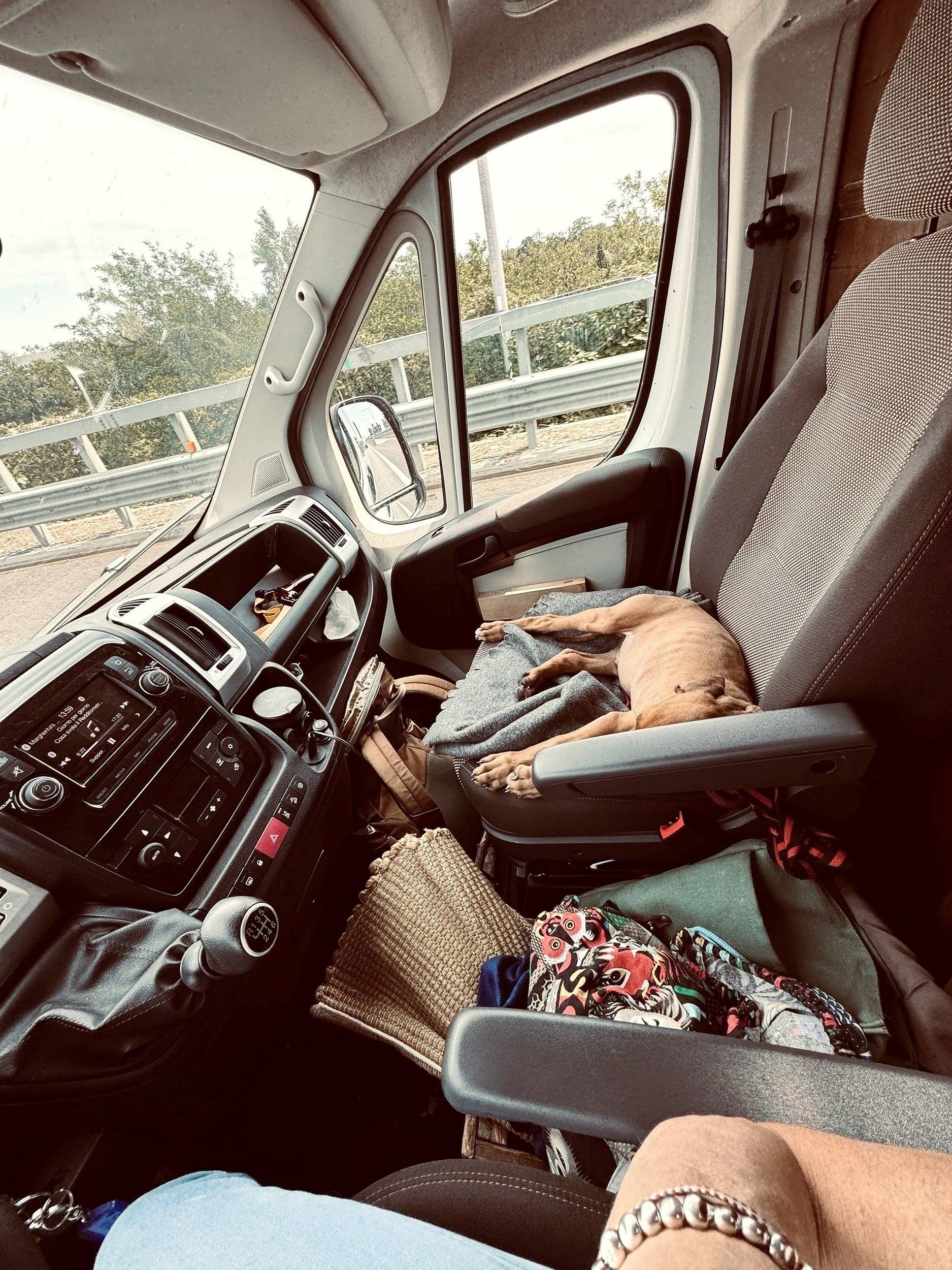 3 C Cartier/Brisebras Atalante