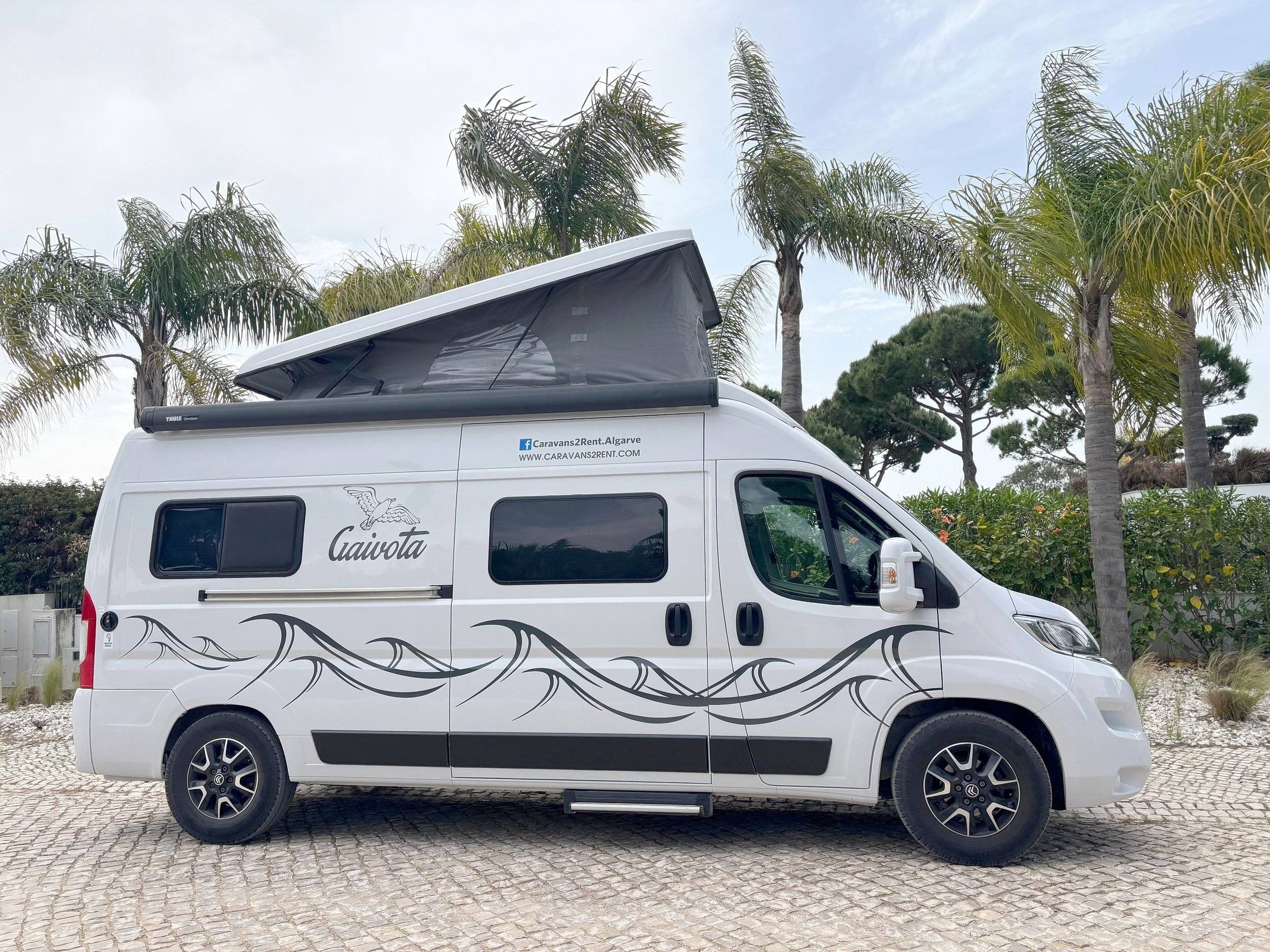 Vista frontale a ¾ Citroën GAIVOTA - Yescapa