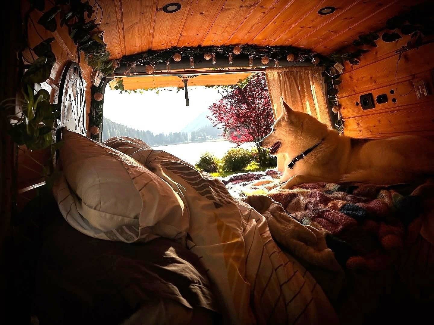 Volkswagen T5 2 l 102 ch