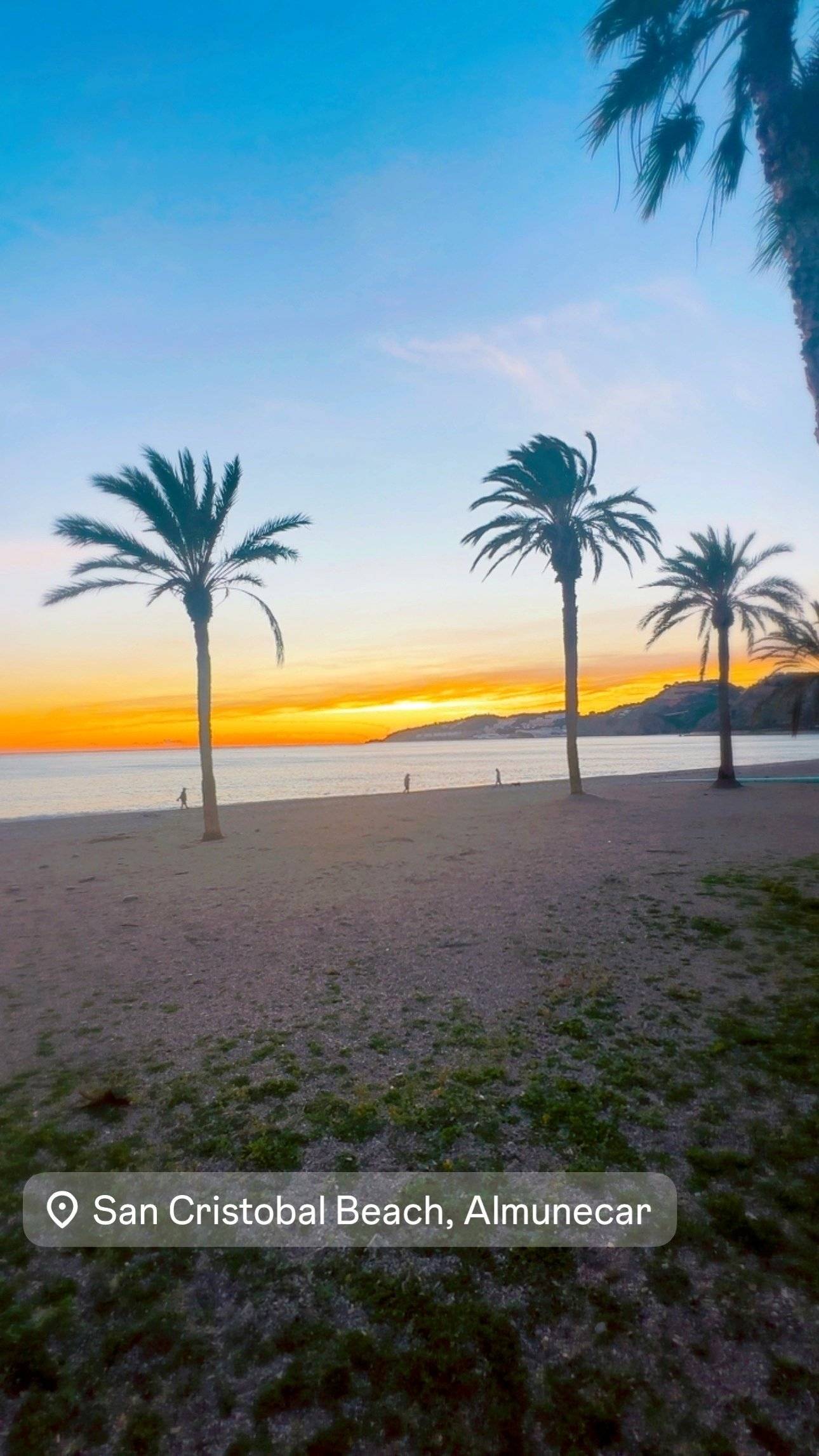 westfalia kepler one