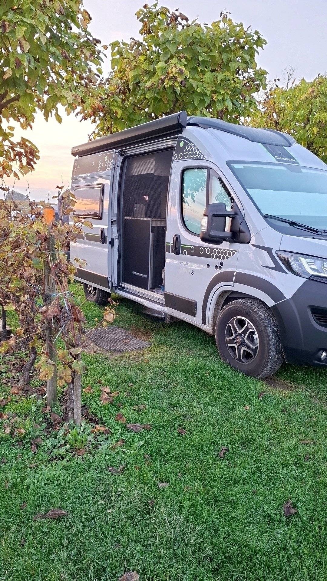 Chausson Chausson V594 First Line