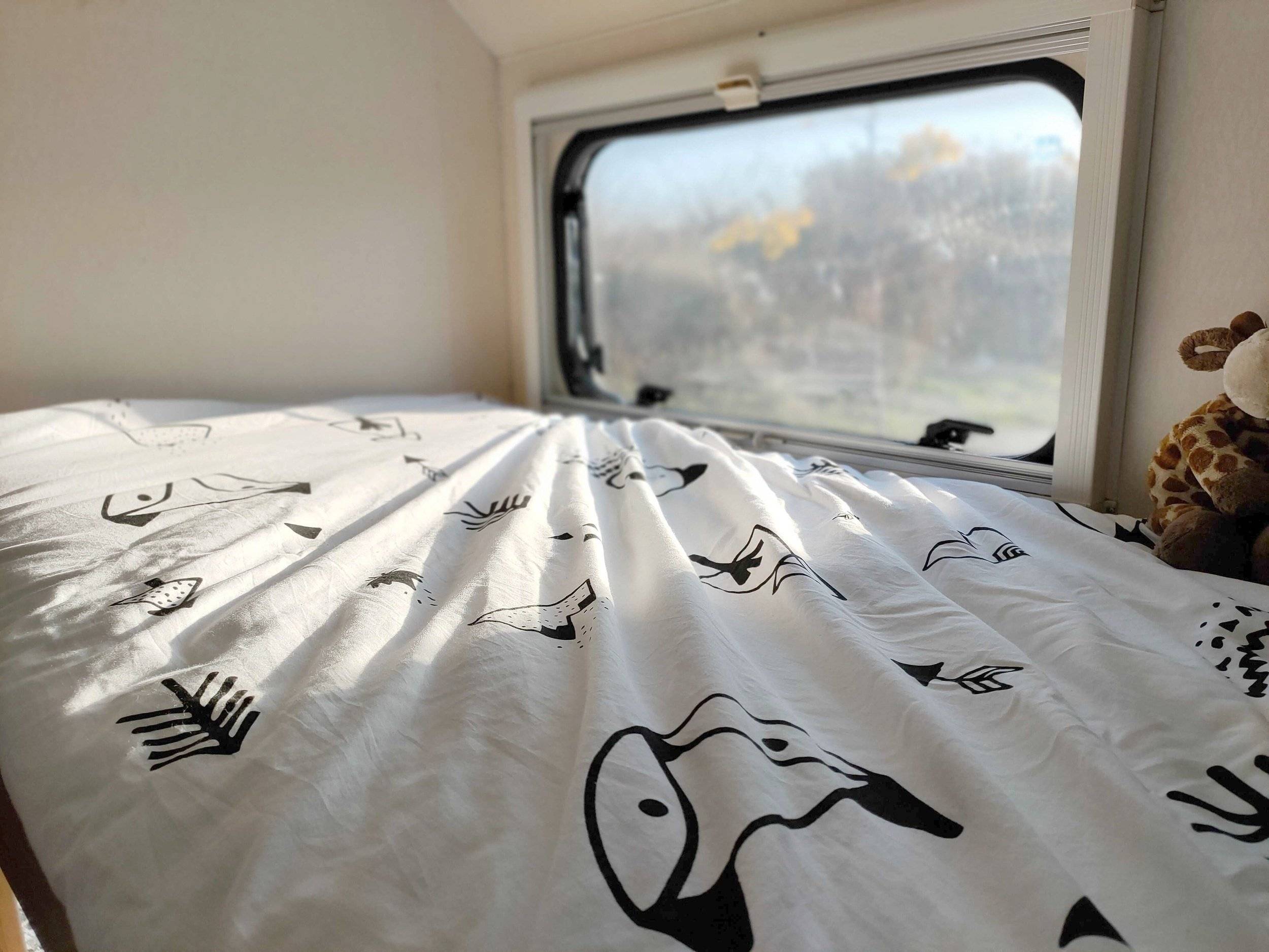 Internacionale caravans ford transit