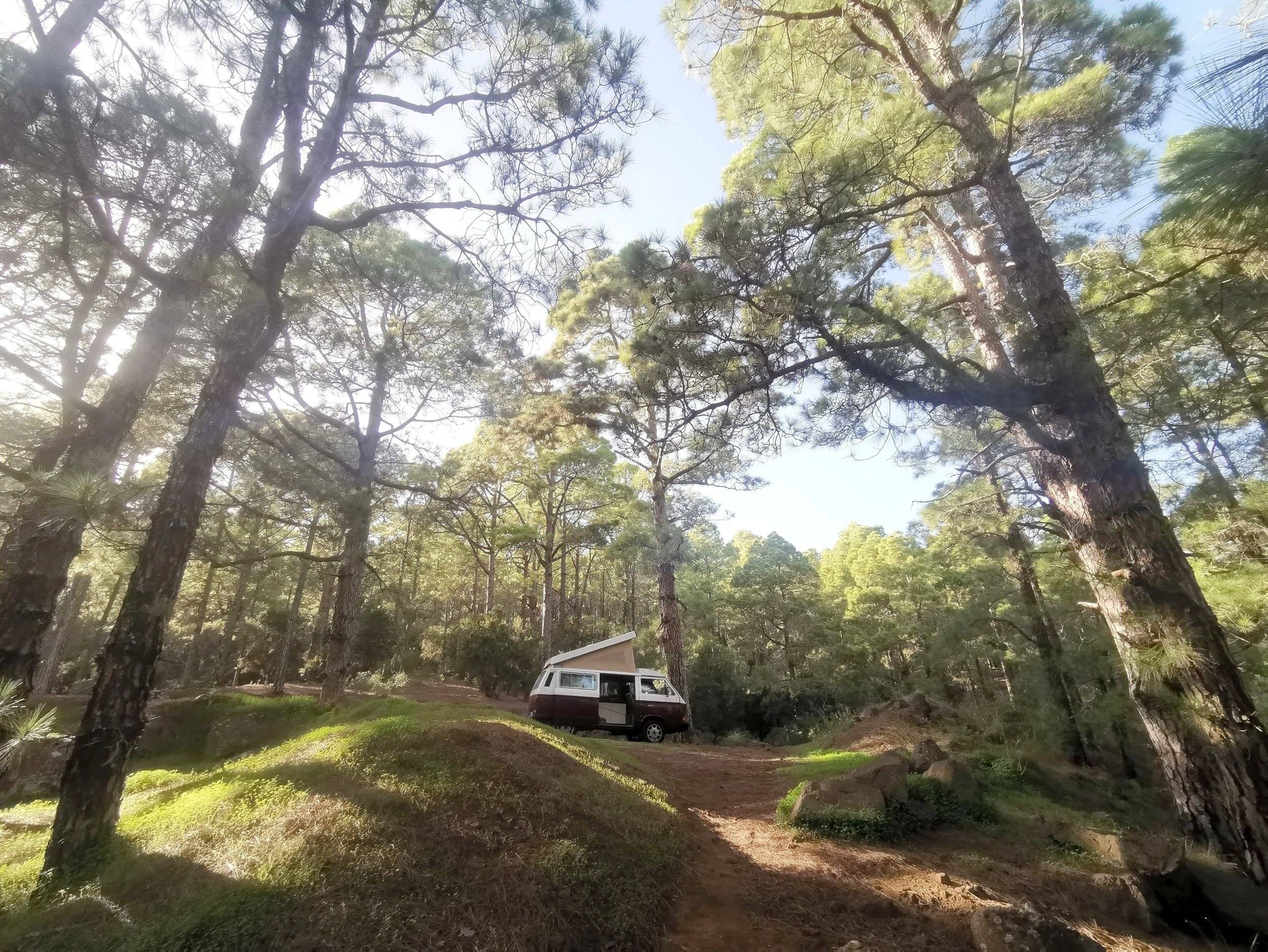 Westfalia california westfalia