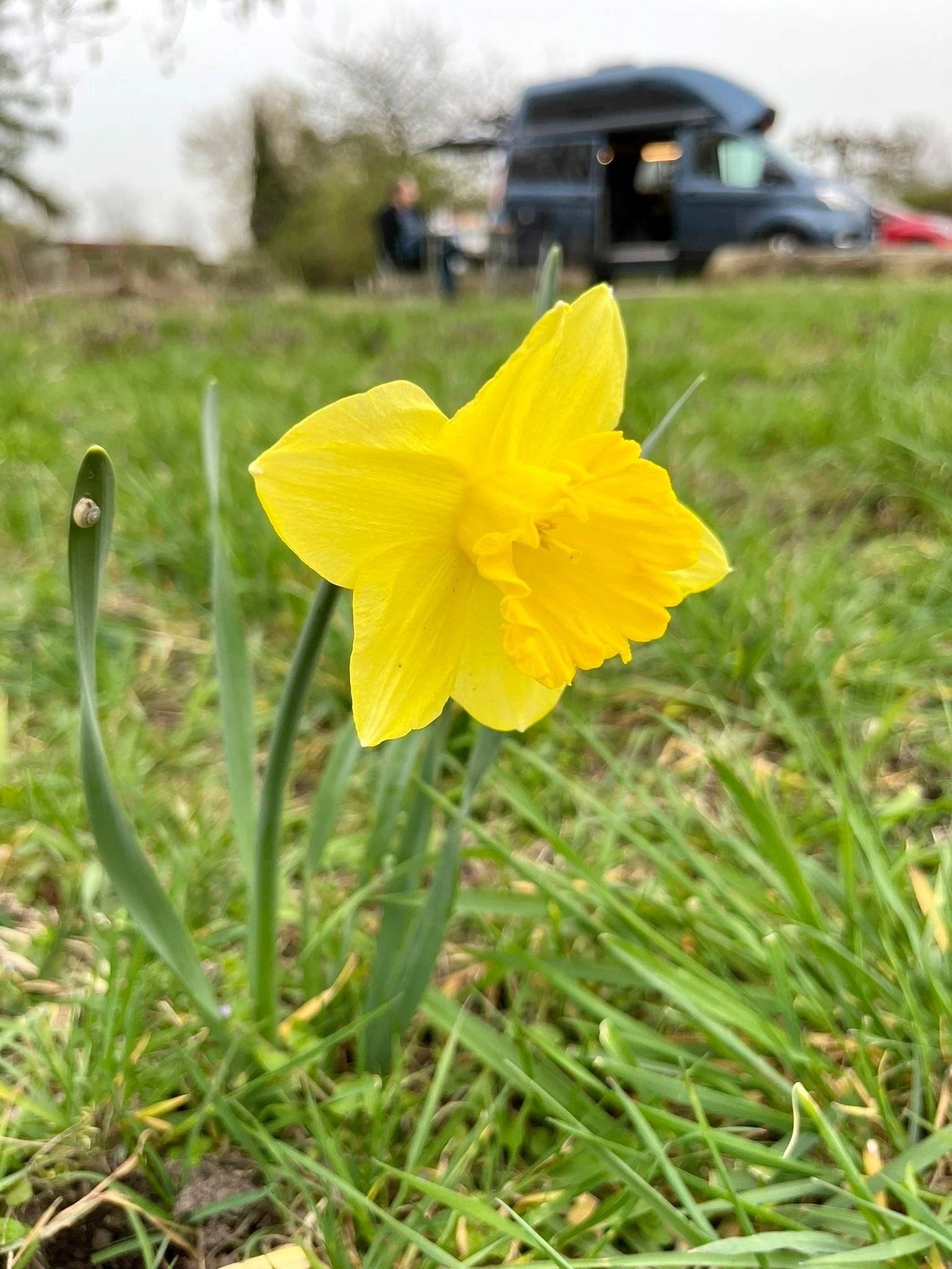 Westfalia Transit nugget westfalia