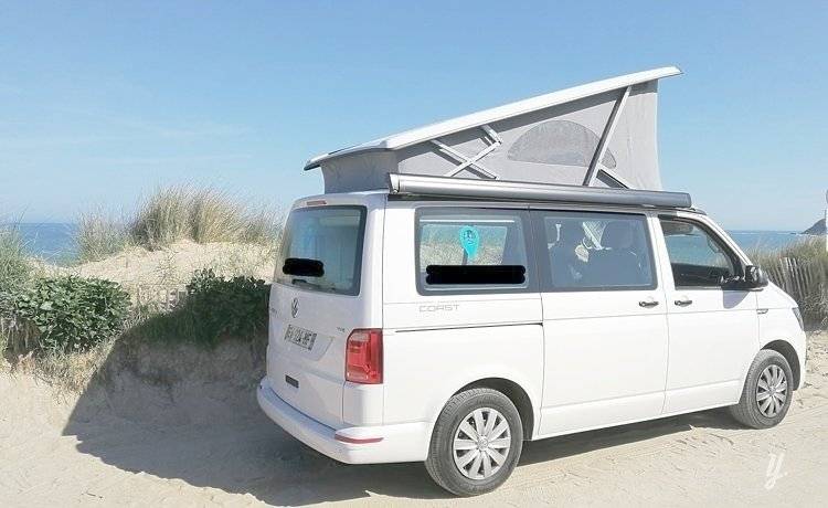 Ansicht von hinten Volkswagen - Yescapa