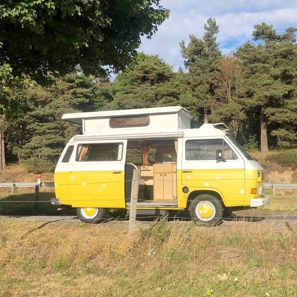 T3 Fibi VW T3 Bulli