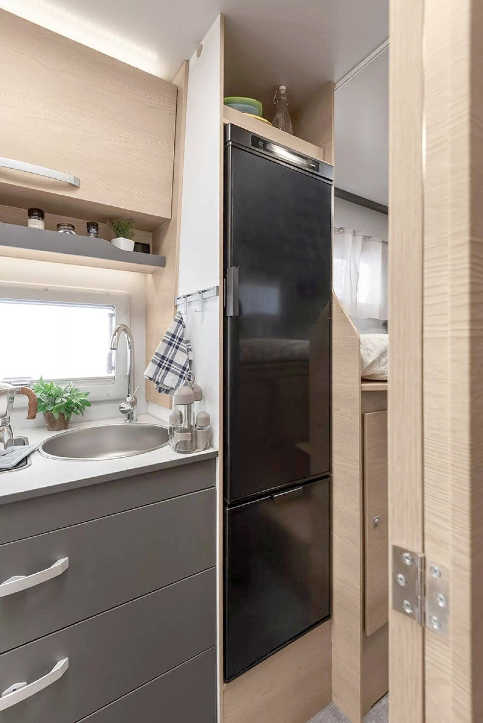 Giottiline siena 385