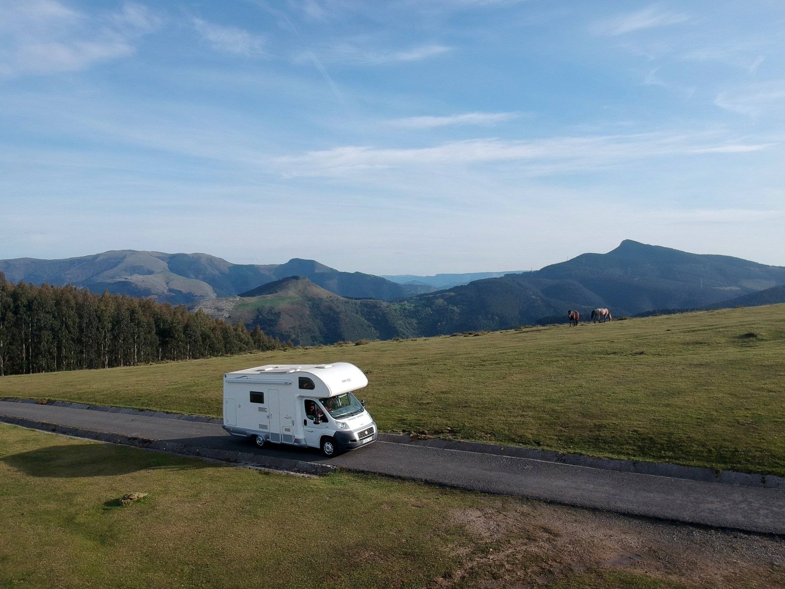 Elnagh Elnagh  Baron