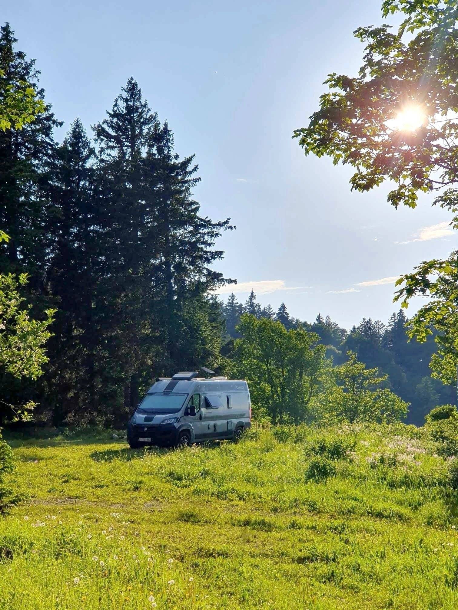 Chausson Chausson V594 First Line