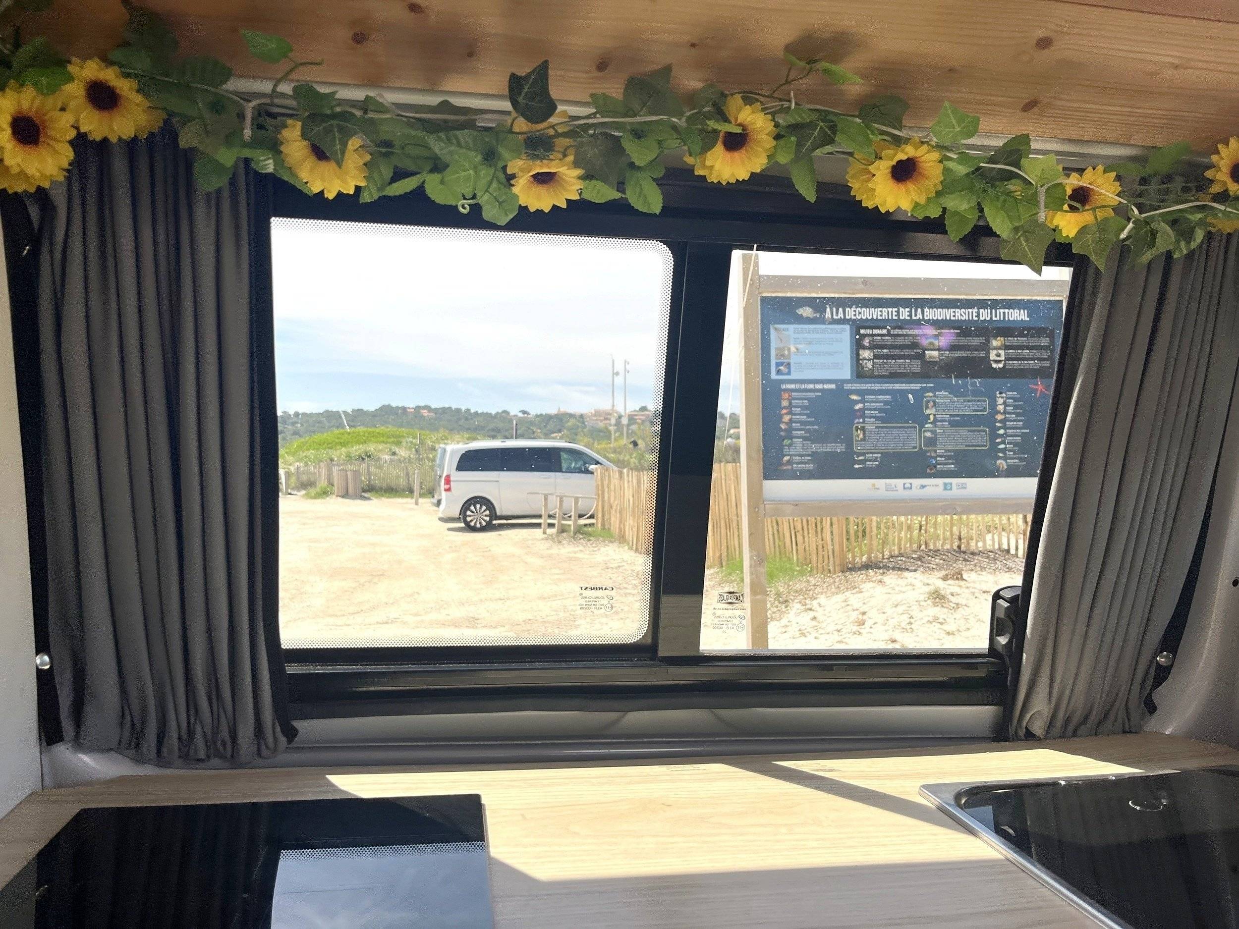 Volkswagen Volkswagen T6