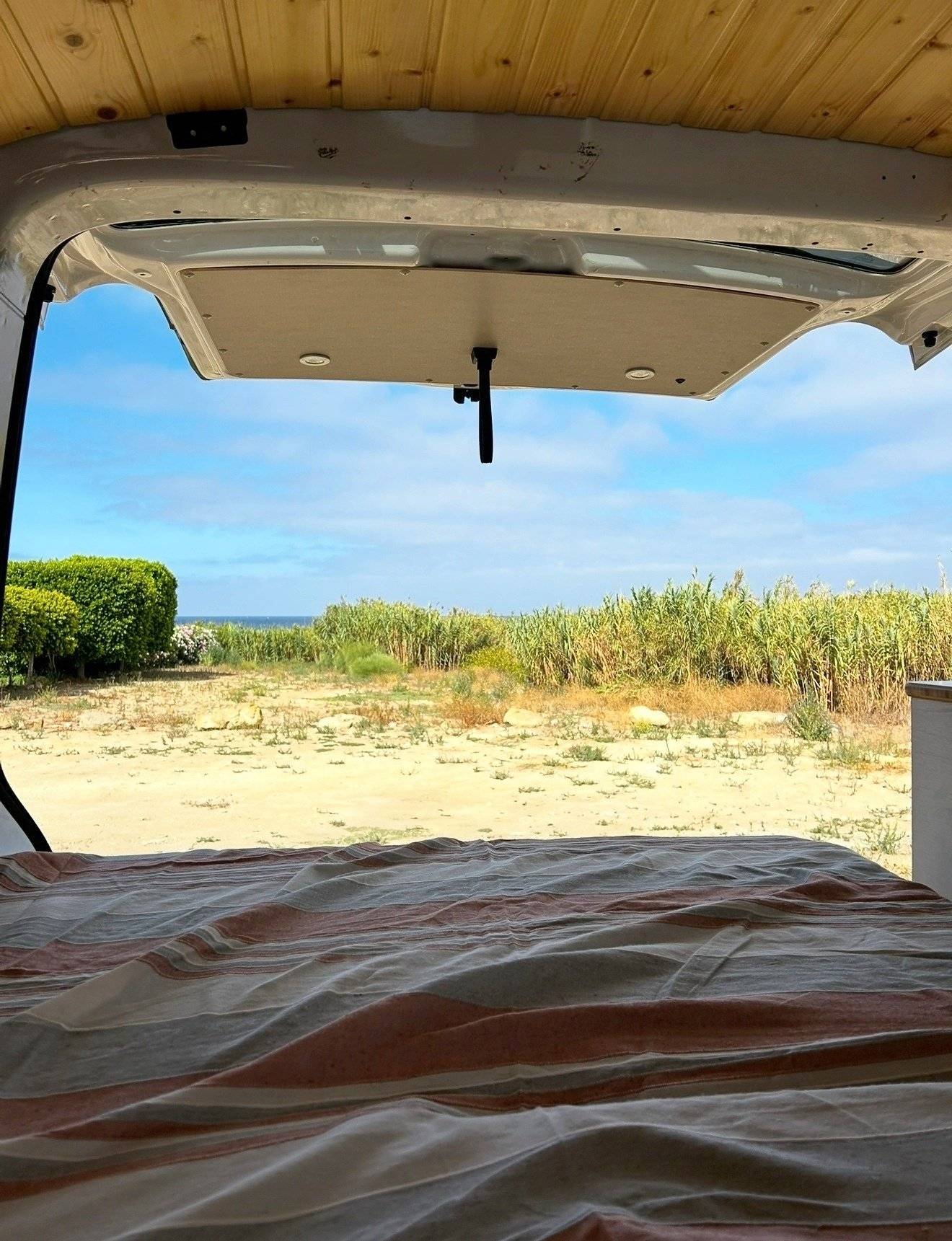 Volkswagen Volkswagen T6