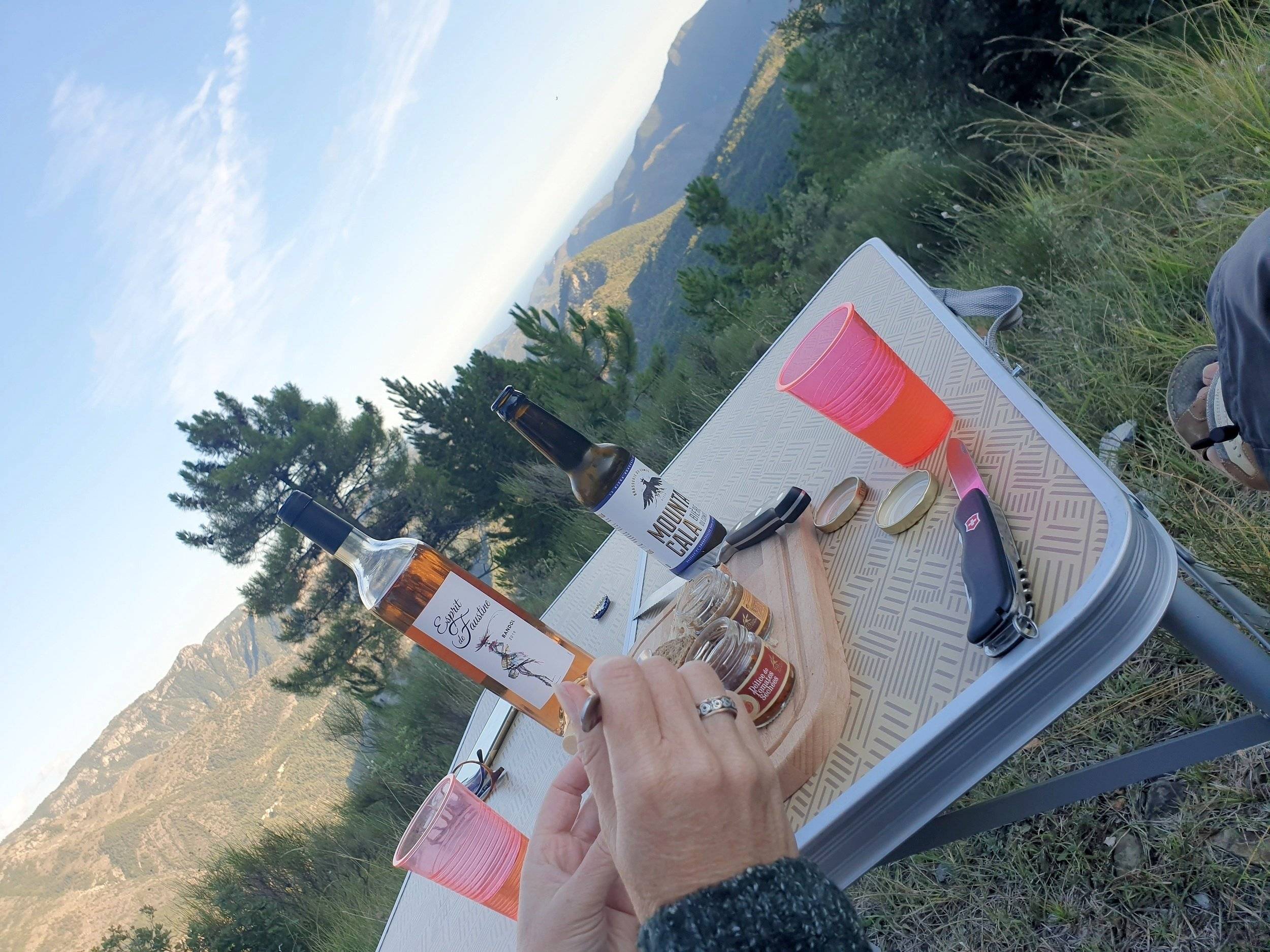 Bürstner-Gmbh C600 -City-car HARMONY LINE