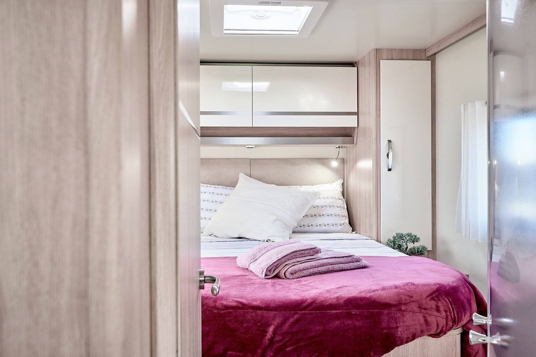 giottiline siena 390