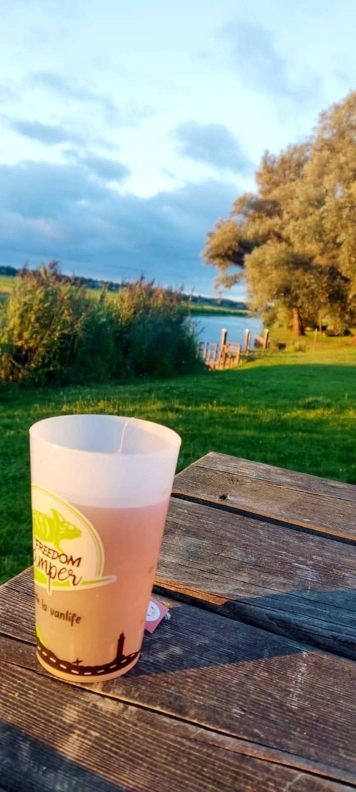 Van Mania SOUTH WEST By freedom camper