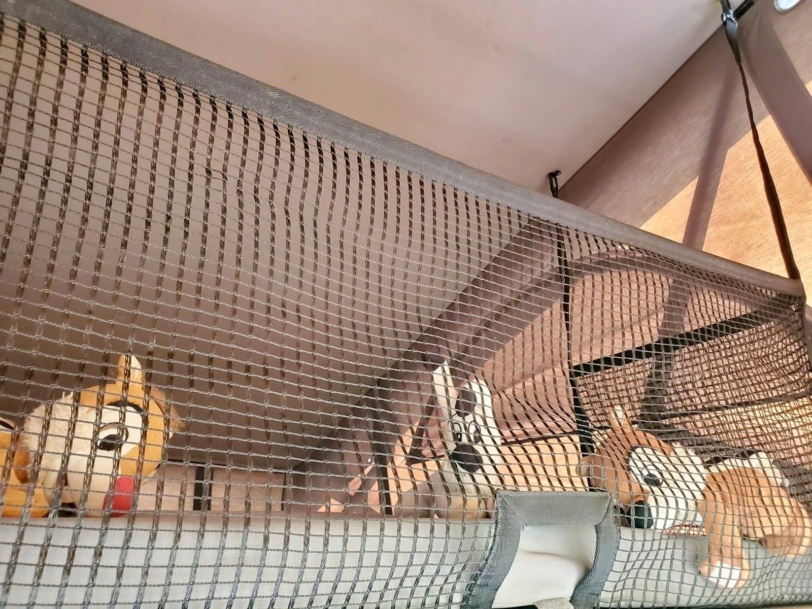 Volkswagen California T5