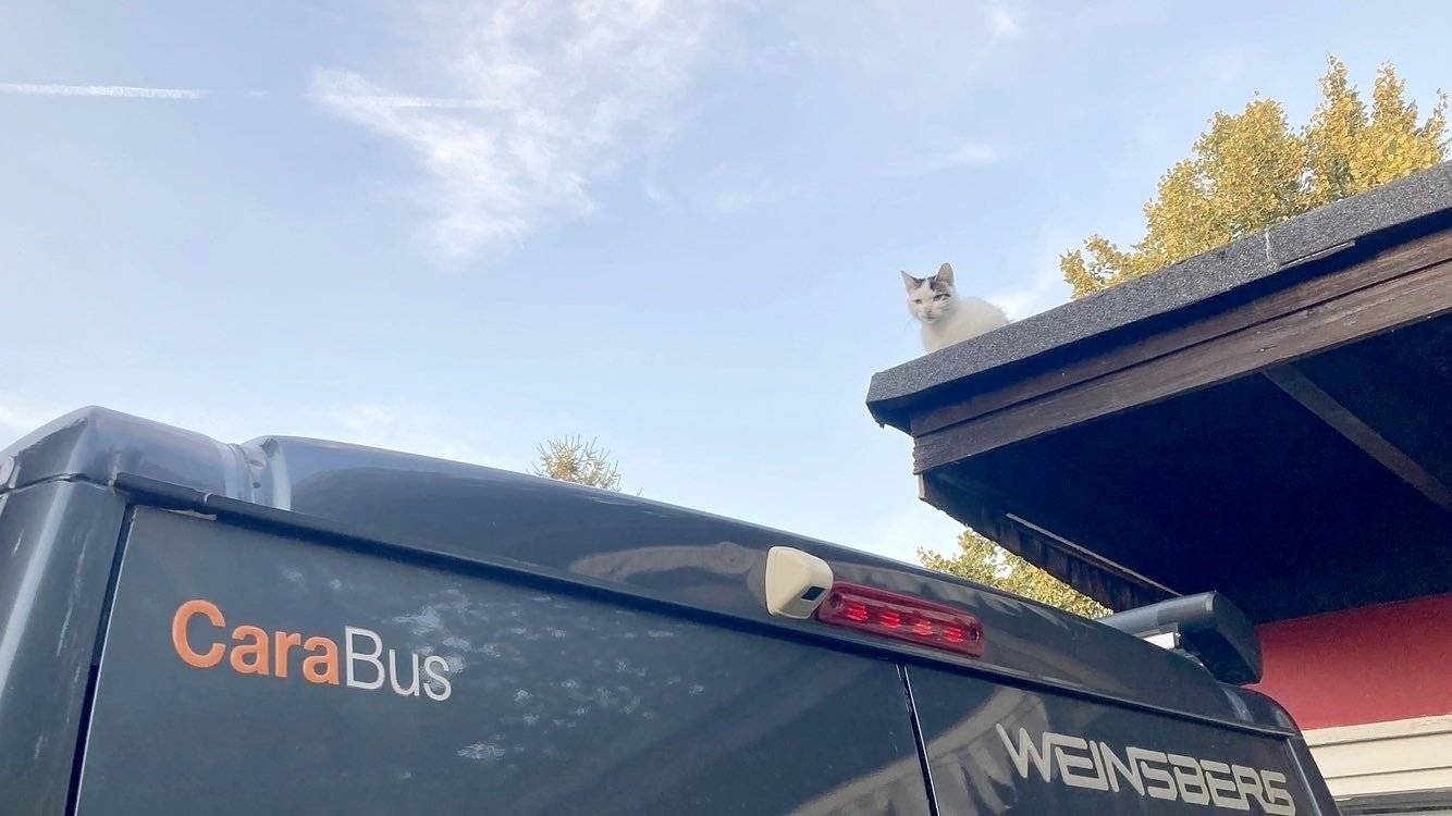 Weinsberg Cara Bus 600 MQ