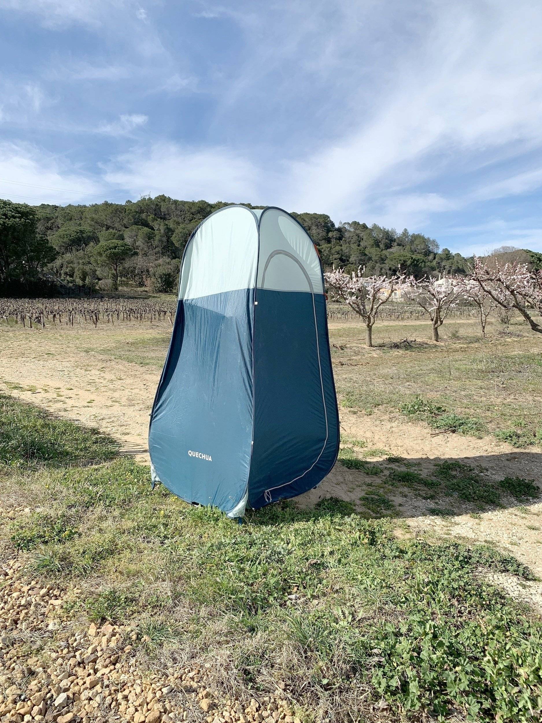 Volkswagen T2 Baywindow