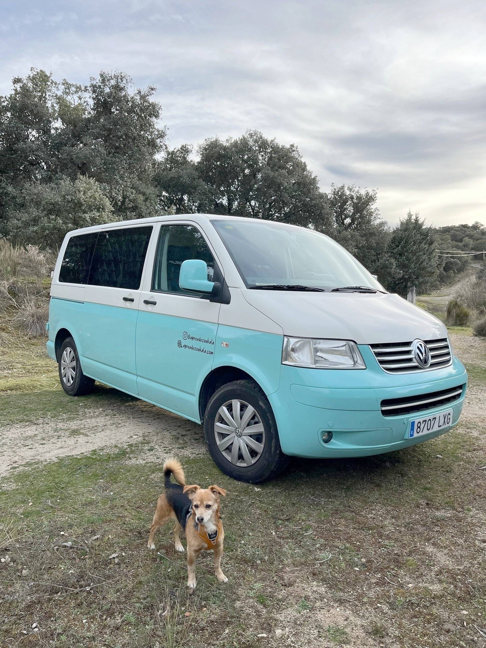 Volkswagen Volkswagen transporter T5