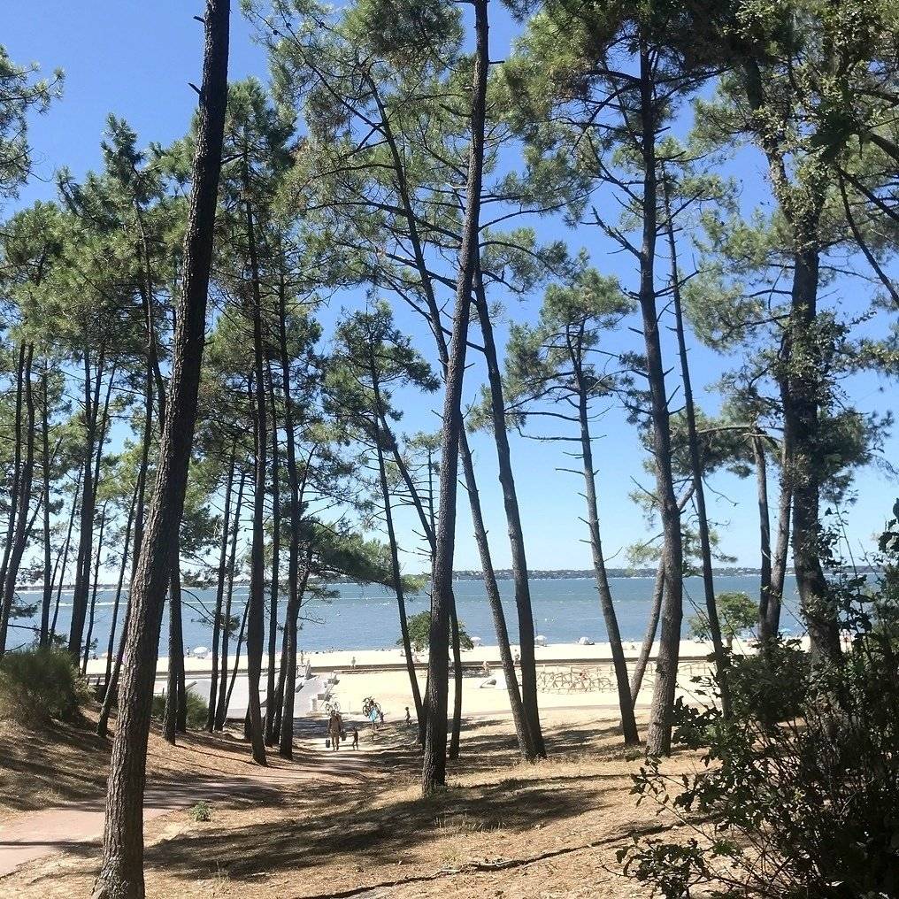 Karmann Mobil 590 Edition