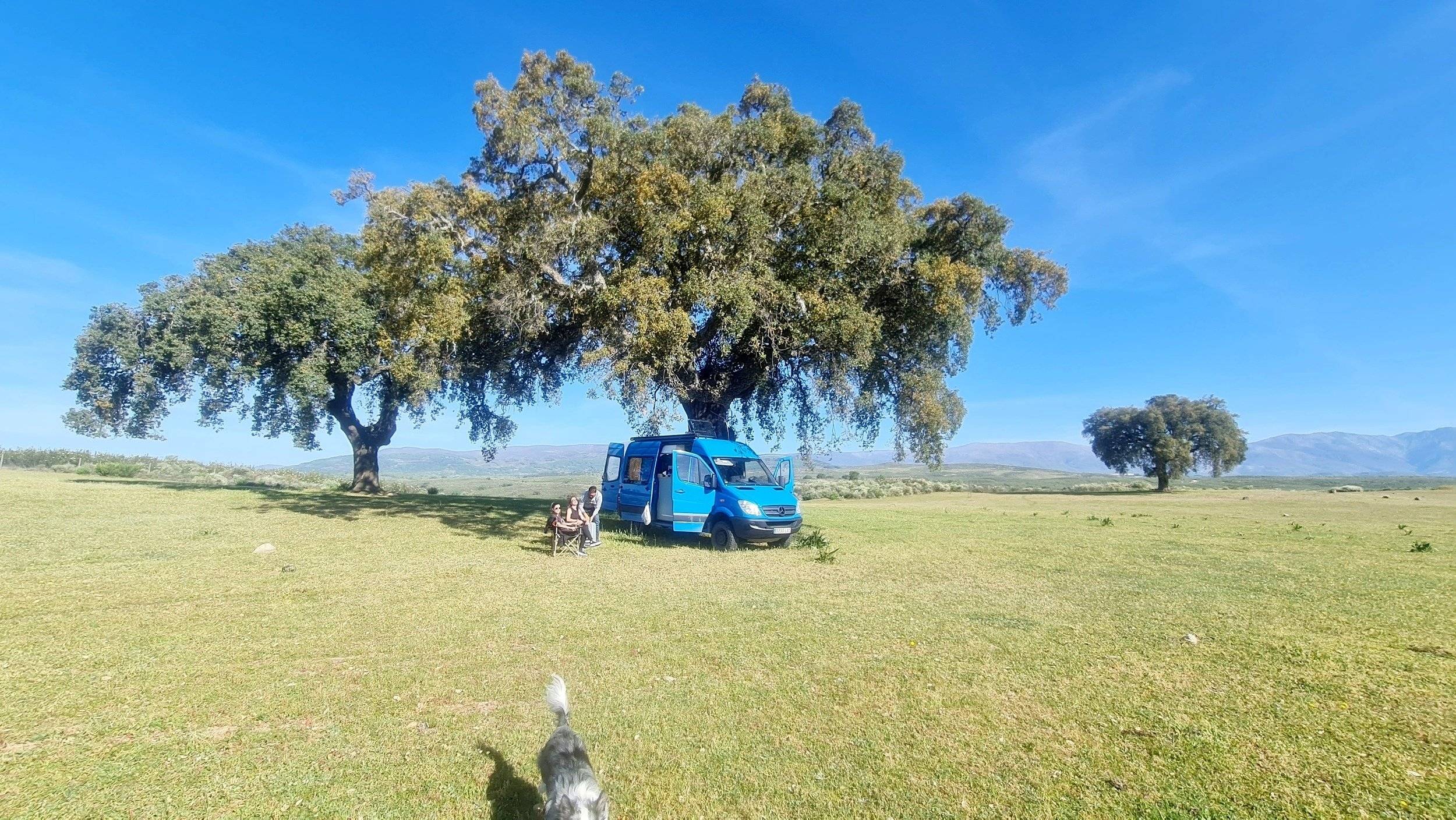 Mercedes MERCEDES SPRINTER