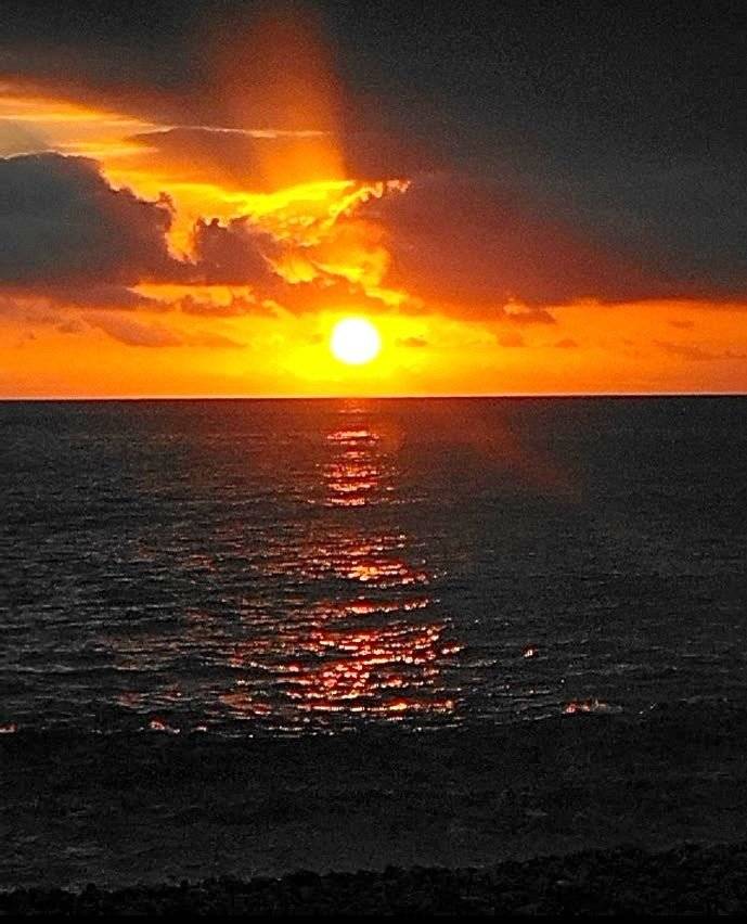 Renault Renault trafic passenger