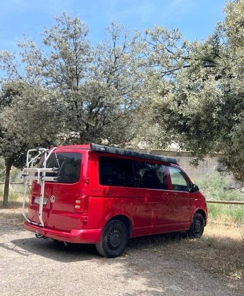 transporter Transporter T6 (Roja)