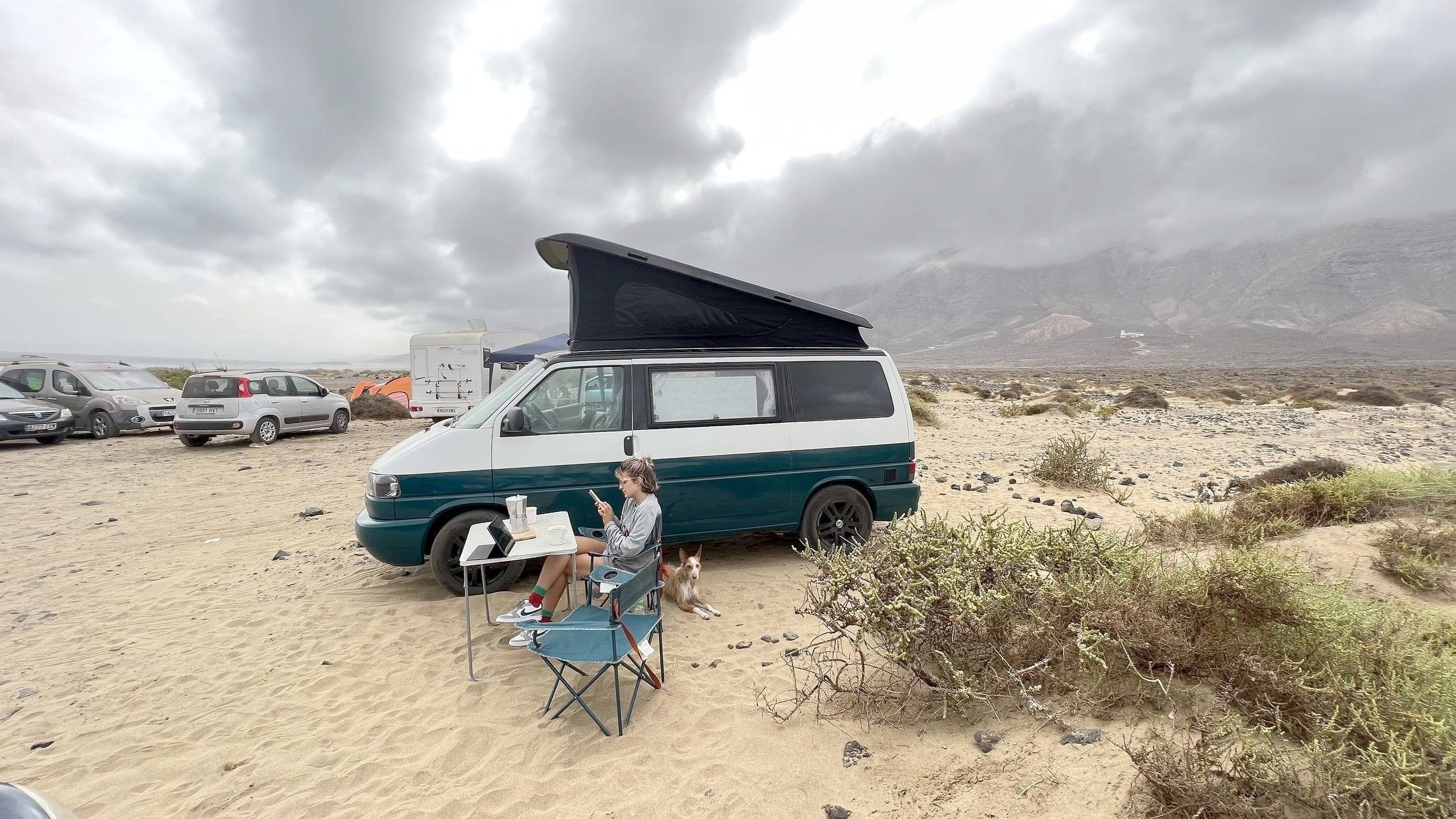 Volkswagen California t4 westfalia