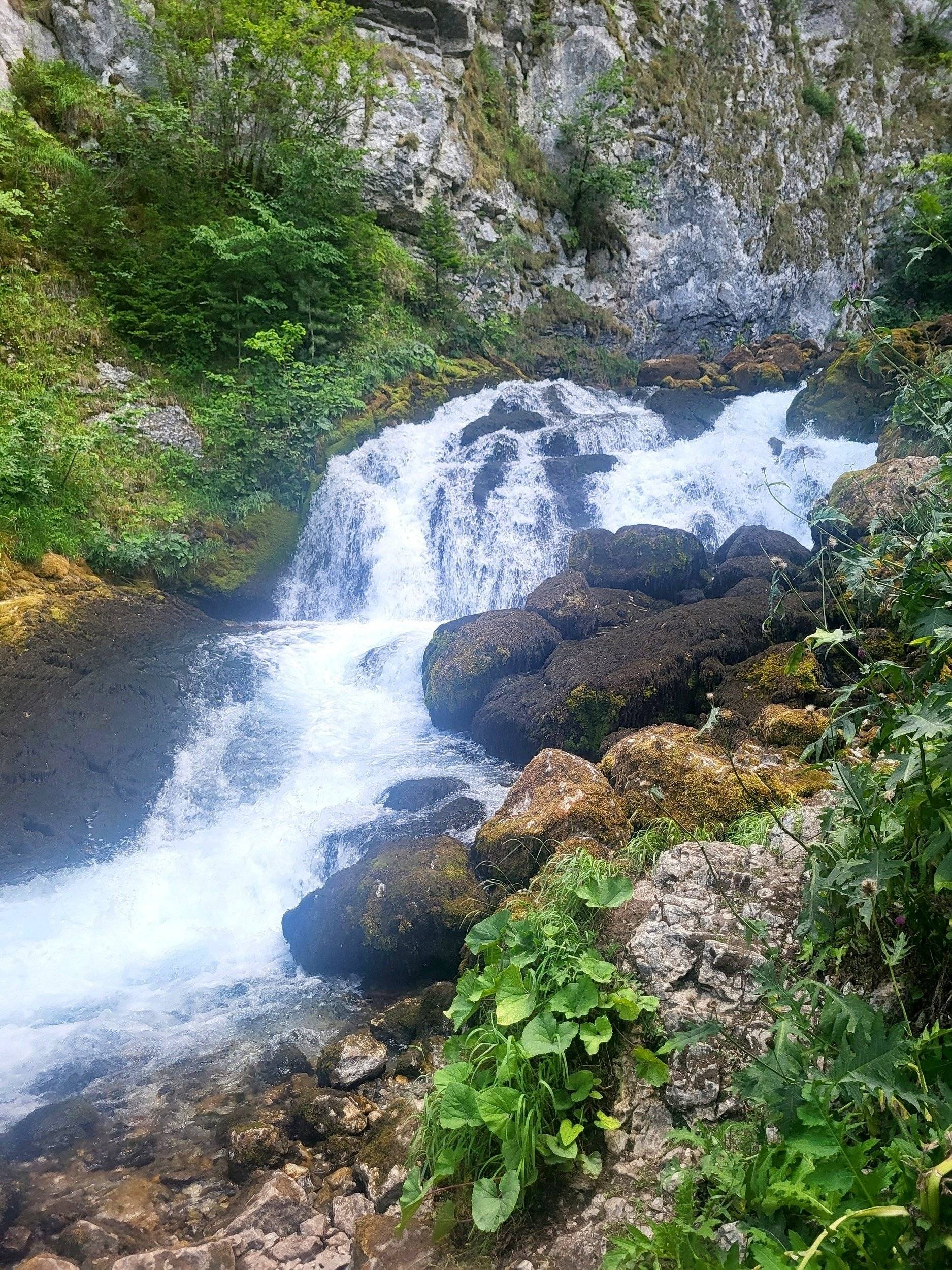 Dethleffs globebus i1 gt white Fiat Ducato 2.2l 140 CV