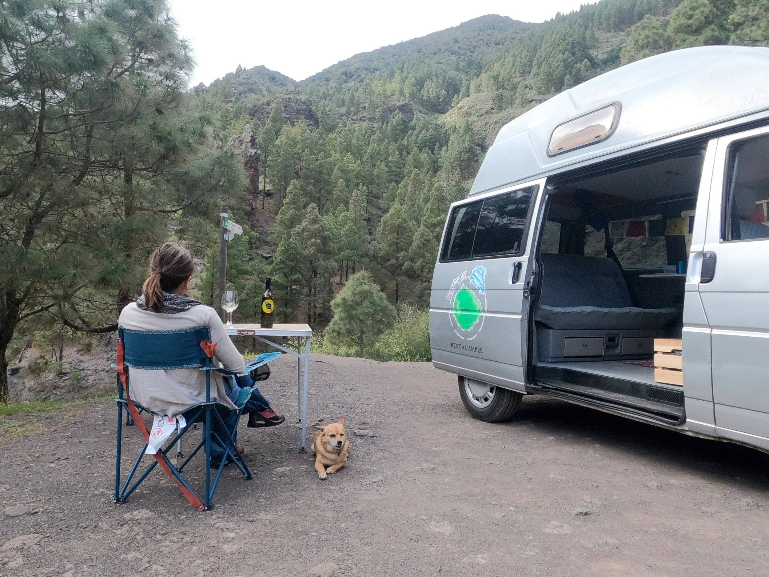 Volkswagen Multivan T4