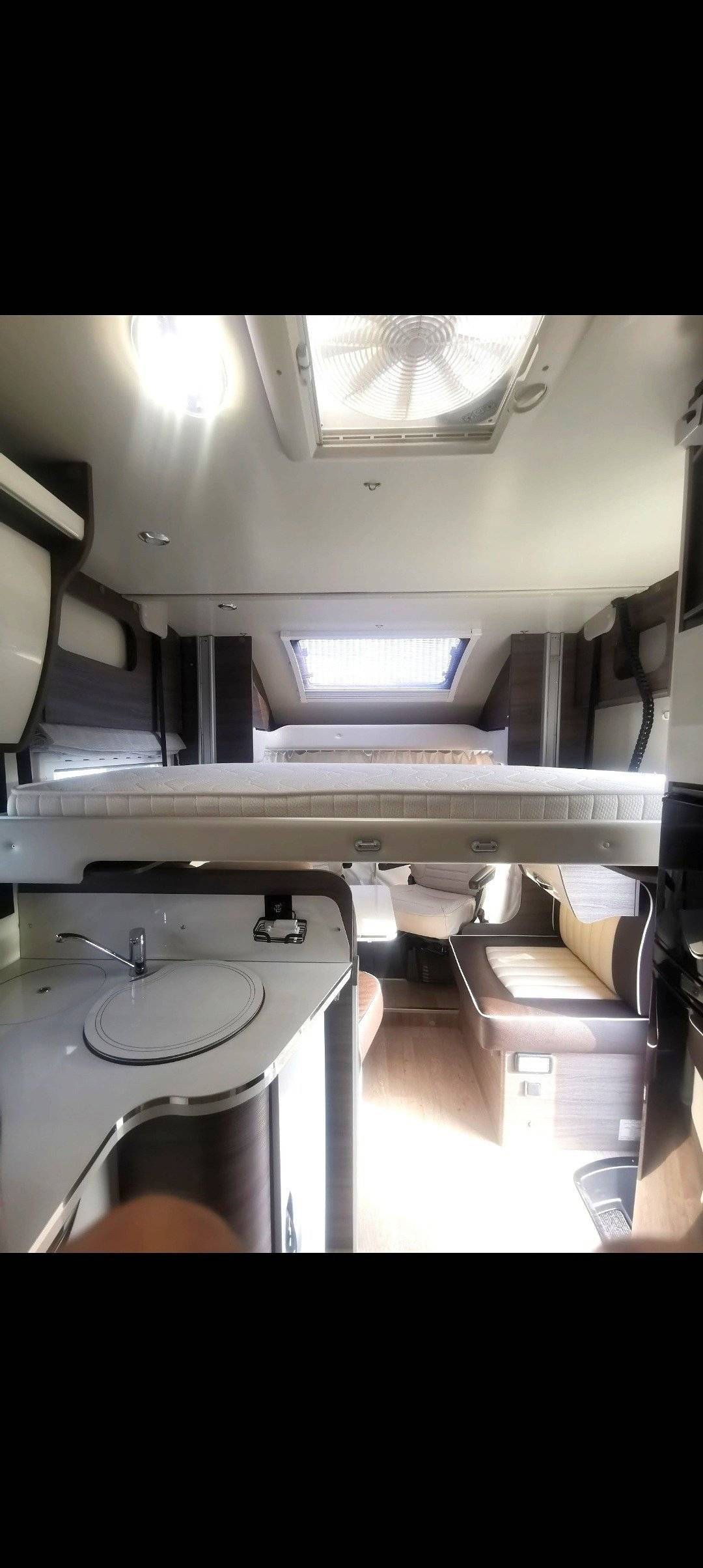 Mclouis Yearling 89G