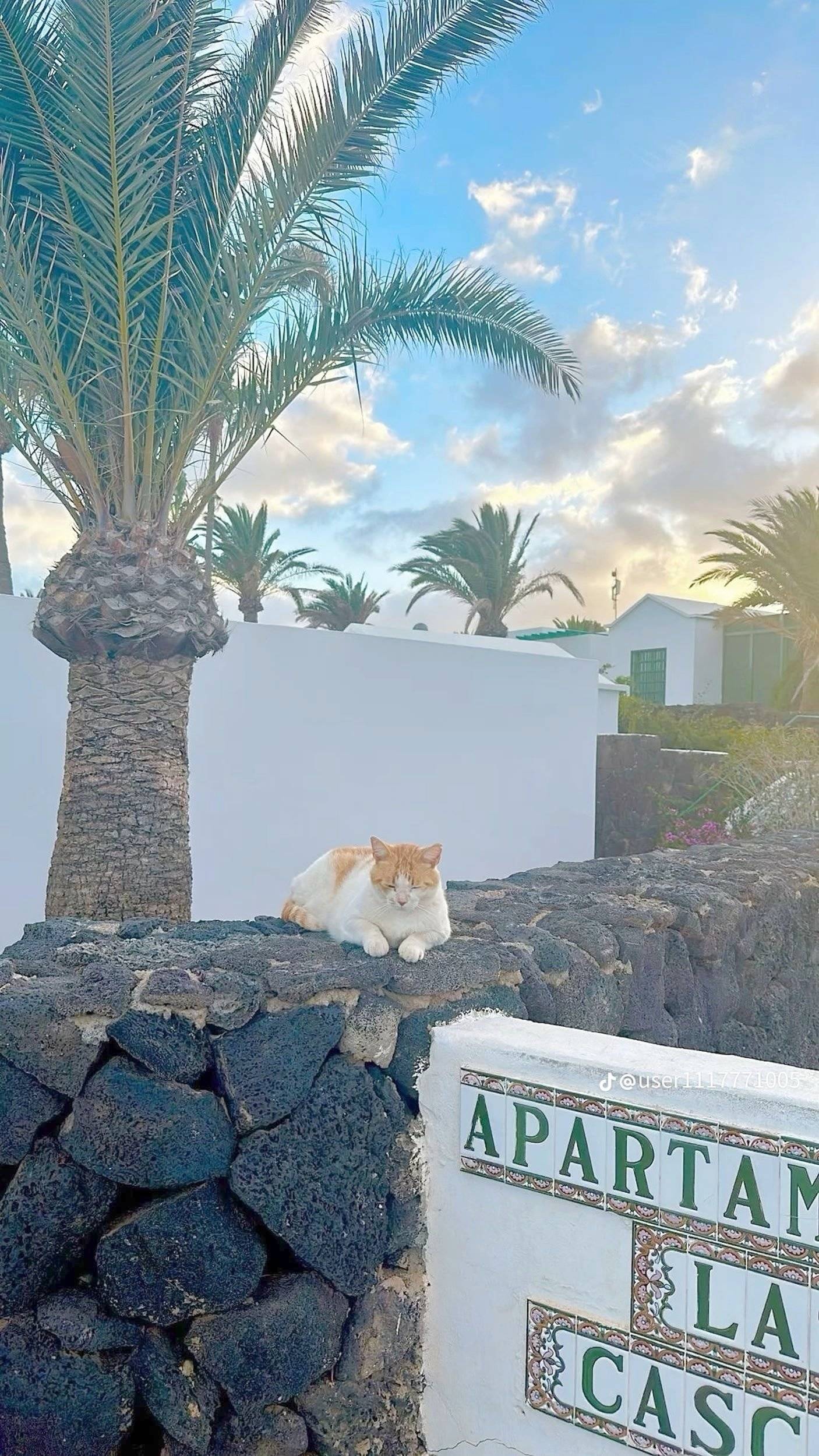 Alpes Camping-Car Vivaro 1,9 CDTI 100ch