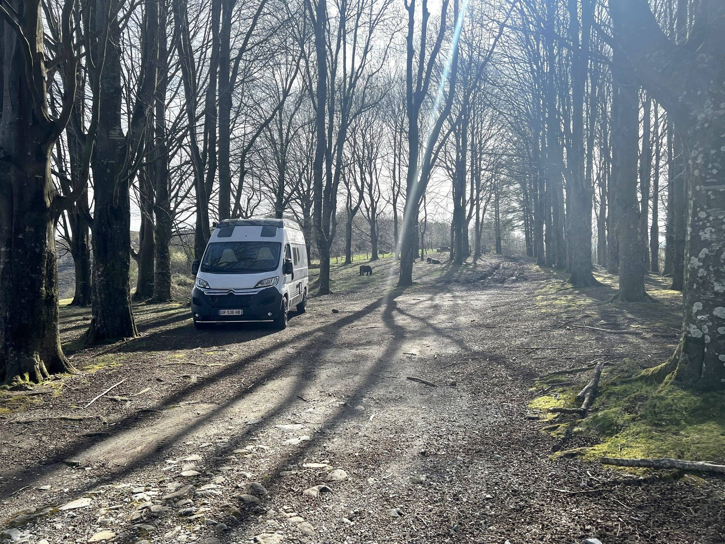 Bürstner Citroën jumper