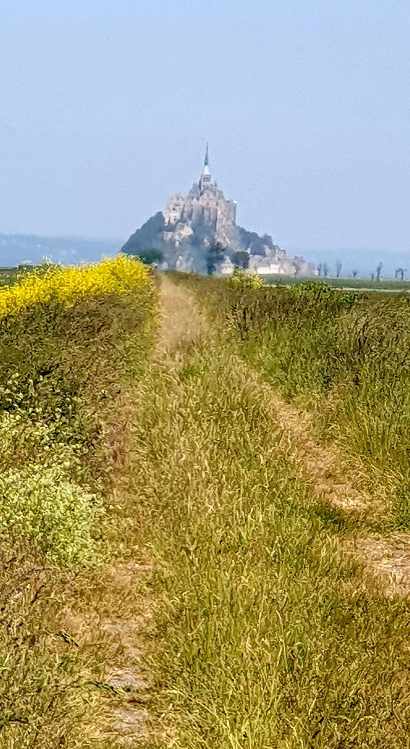 Globecar GLOBECAR  GLOBESCOUT