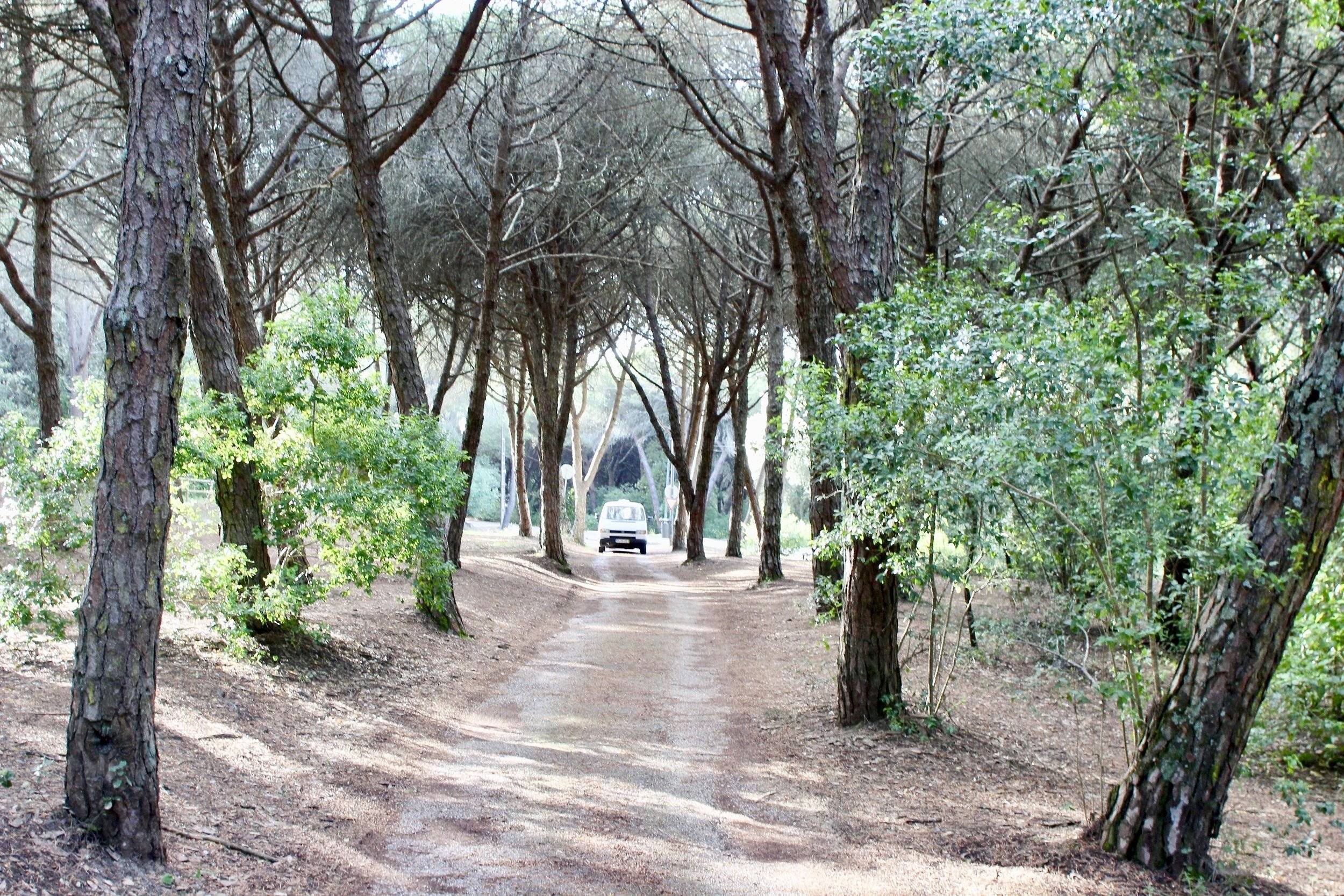 Luxy VW T4 Insurance &amp; All KM incl | MyVan Portugal