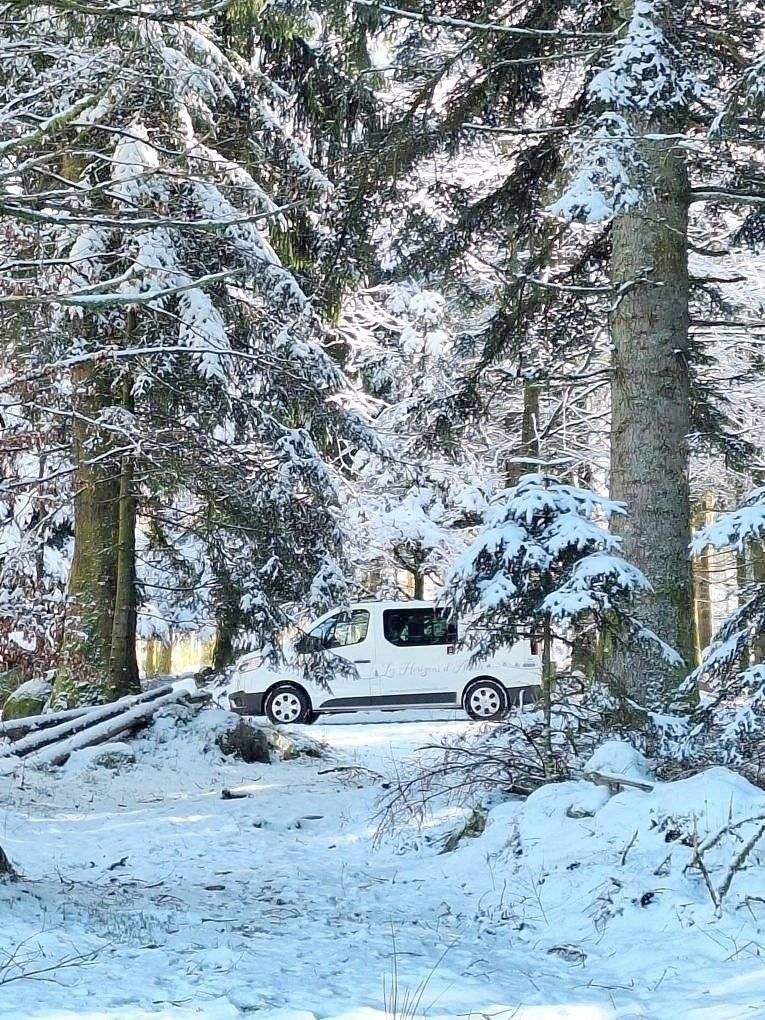 Antilope Van Renault Trafic