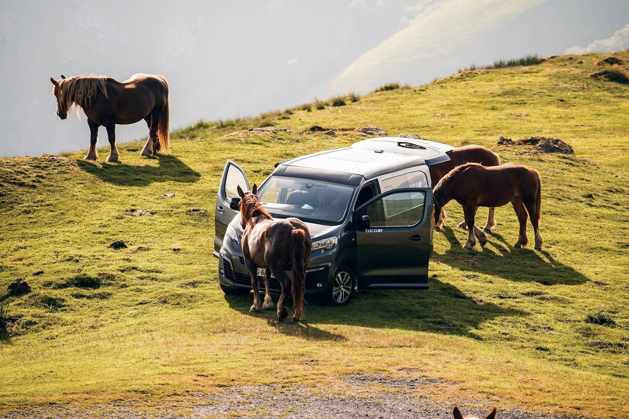 Casi Camp  EXPERT VASP 4 PLACES