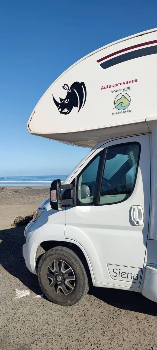 Giottiline siena 440