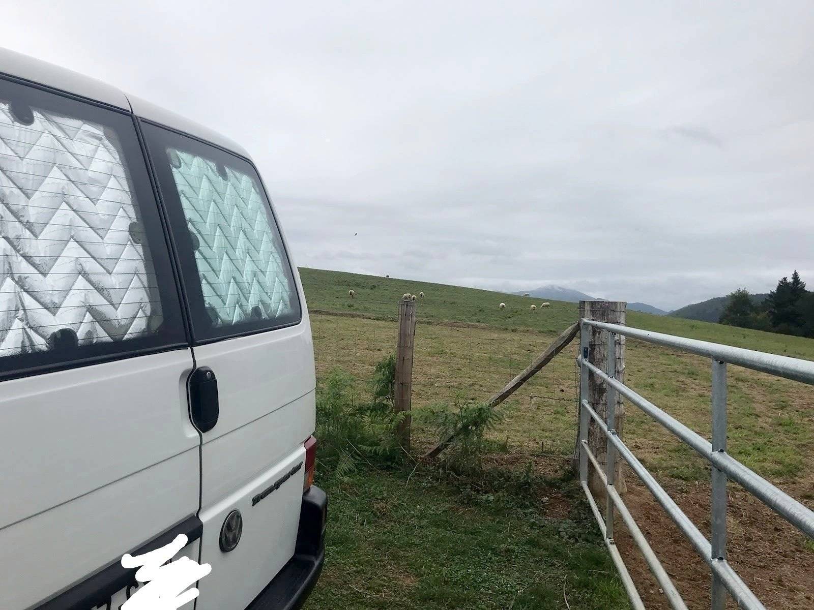 Custo Van Transporter